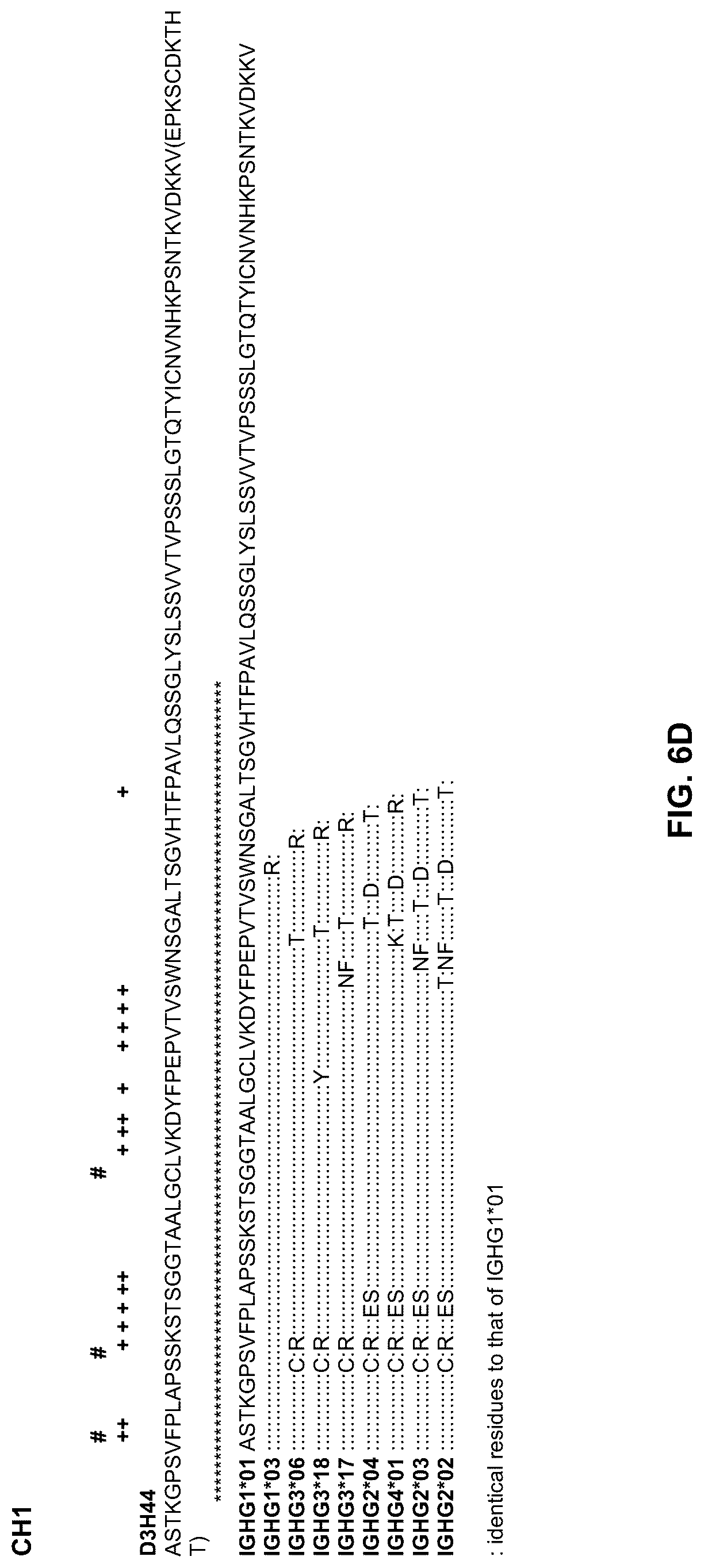 Patent US12304945 Figure 14 – Engineered immunoglobulin heavy chain-light chain pairs and uses thereof