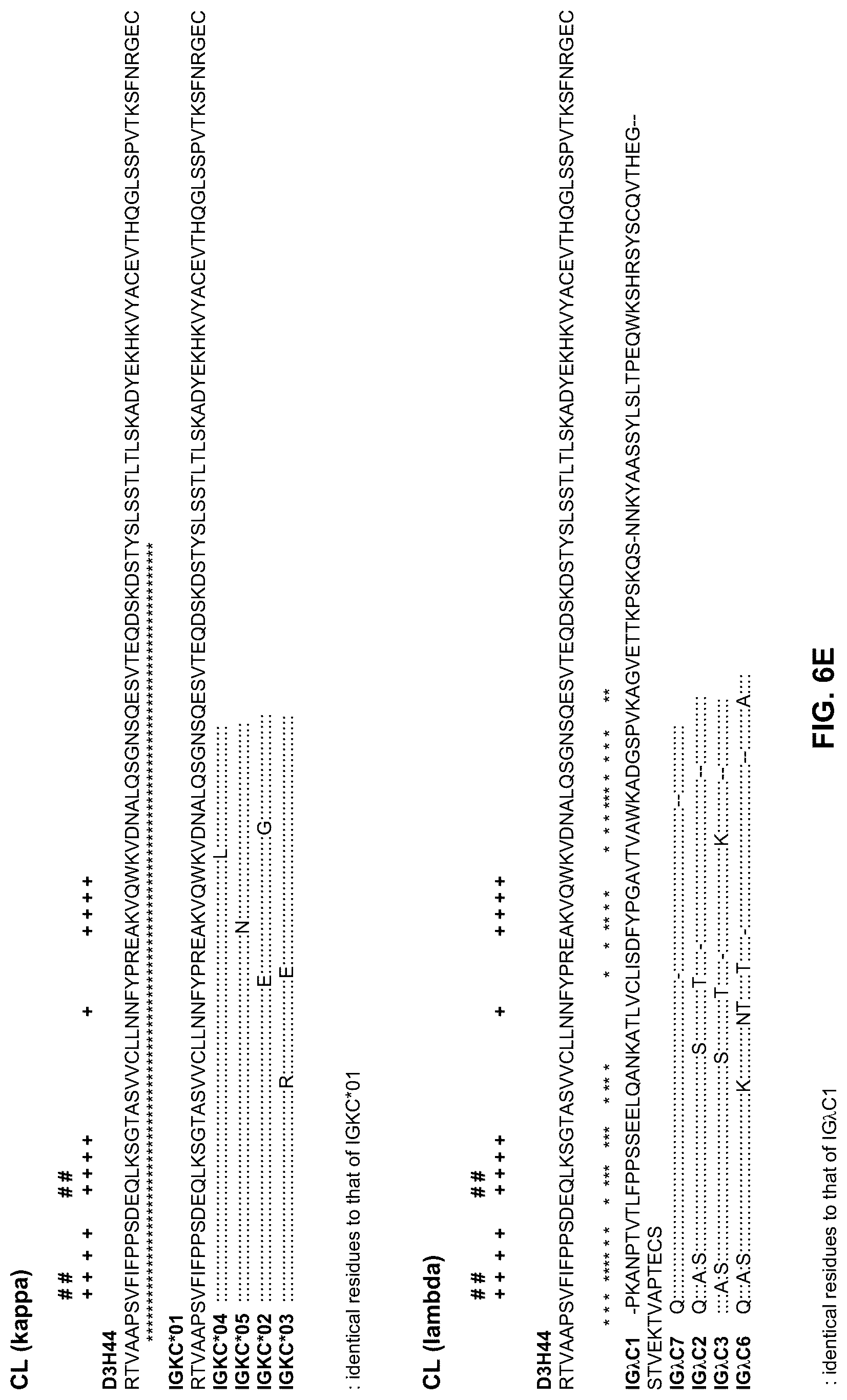 Patent US12304945 Figure 15 – Engineered immunoglobulin heavy chain-light chain pairs and uses thereof