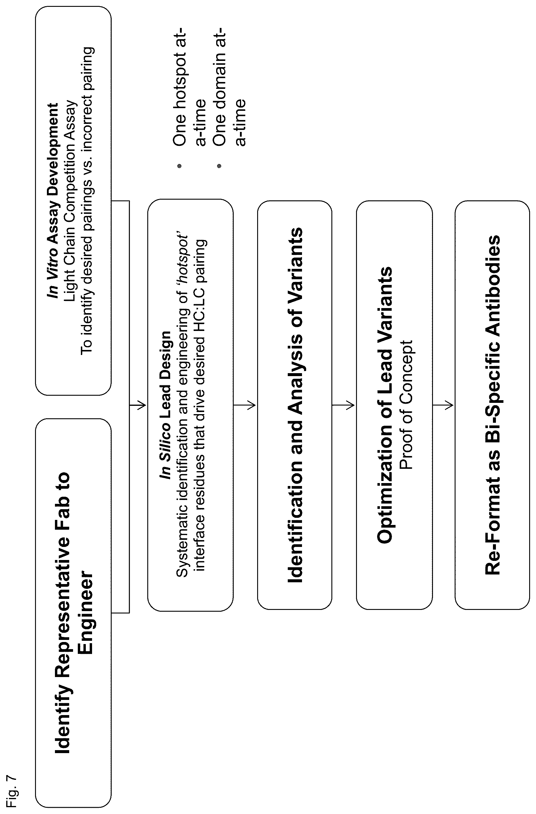 Patent US12304945 Figure 16 – Engineered immunoglobulin heavy chain-light chain pairs and uses thereof