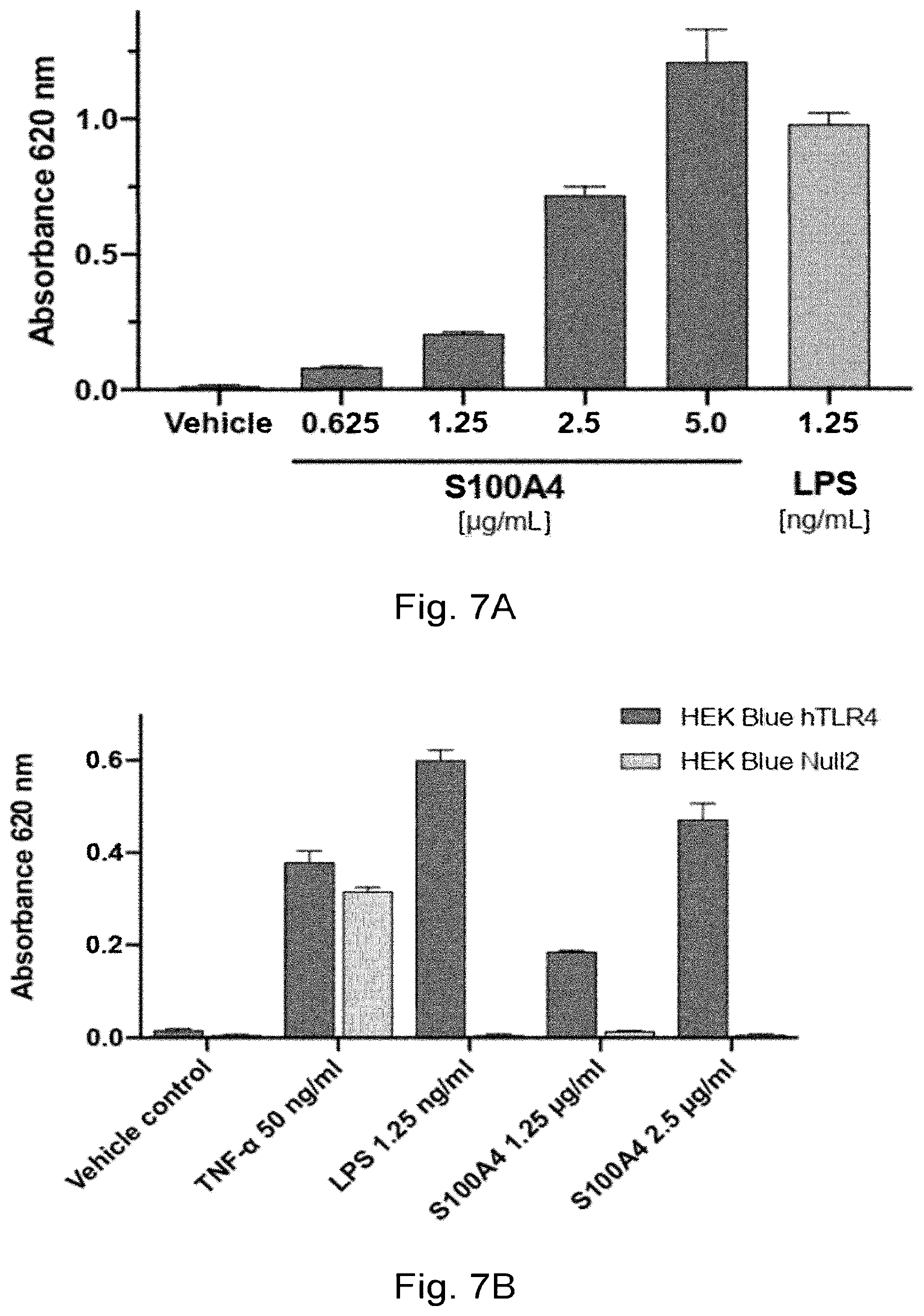 Patent US12304949 Figure 20 – Anti-S100A4 humanized antibodies, uses and methods