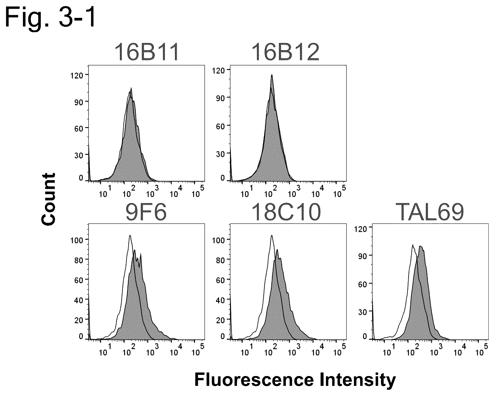 Patent US12304951 Figure 5 – Anti-TSPAN8/anti-CD3 bispecific antibody and anti-TSPAN8 antibody