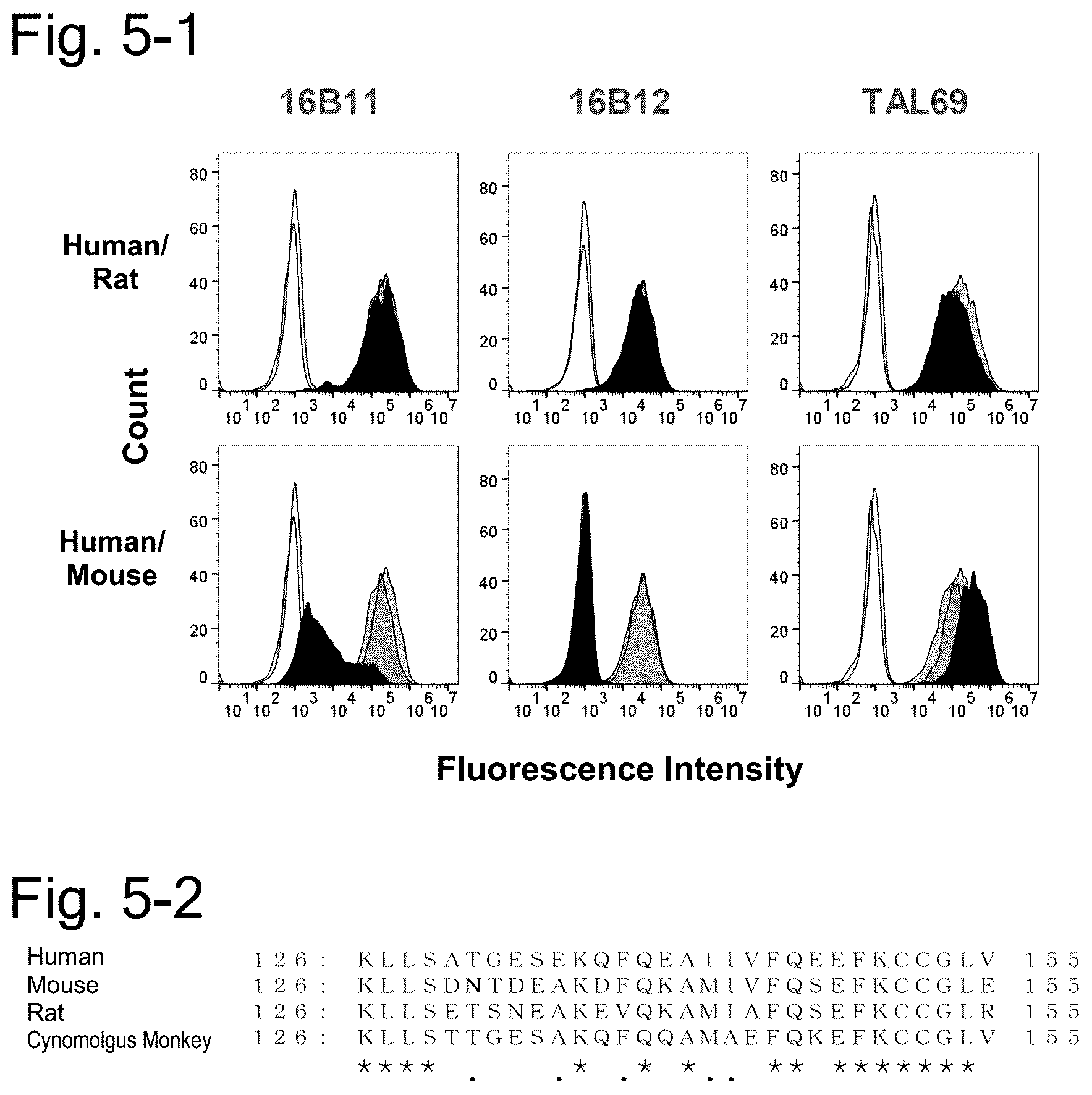 Patent US12304951 Figure 8 – Anti-TSPAN8/anti-CD3 bispecific antibody and anti-TSPAN8 antibody