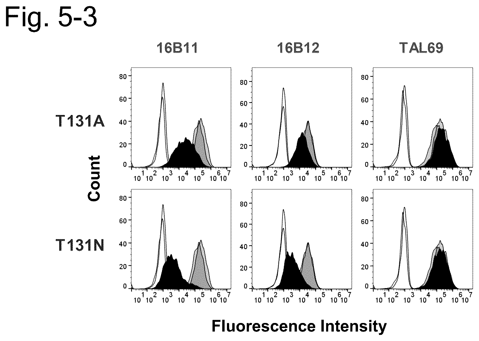 Patent US12304951 Figure 9 – Anti-TSPAN8/anti-CD3 bispecific antibody and anti-TSPAN8 antibody