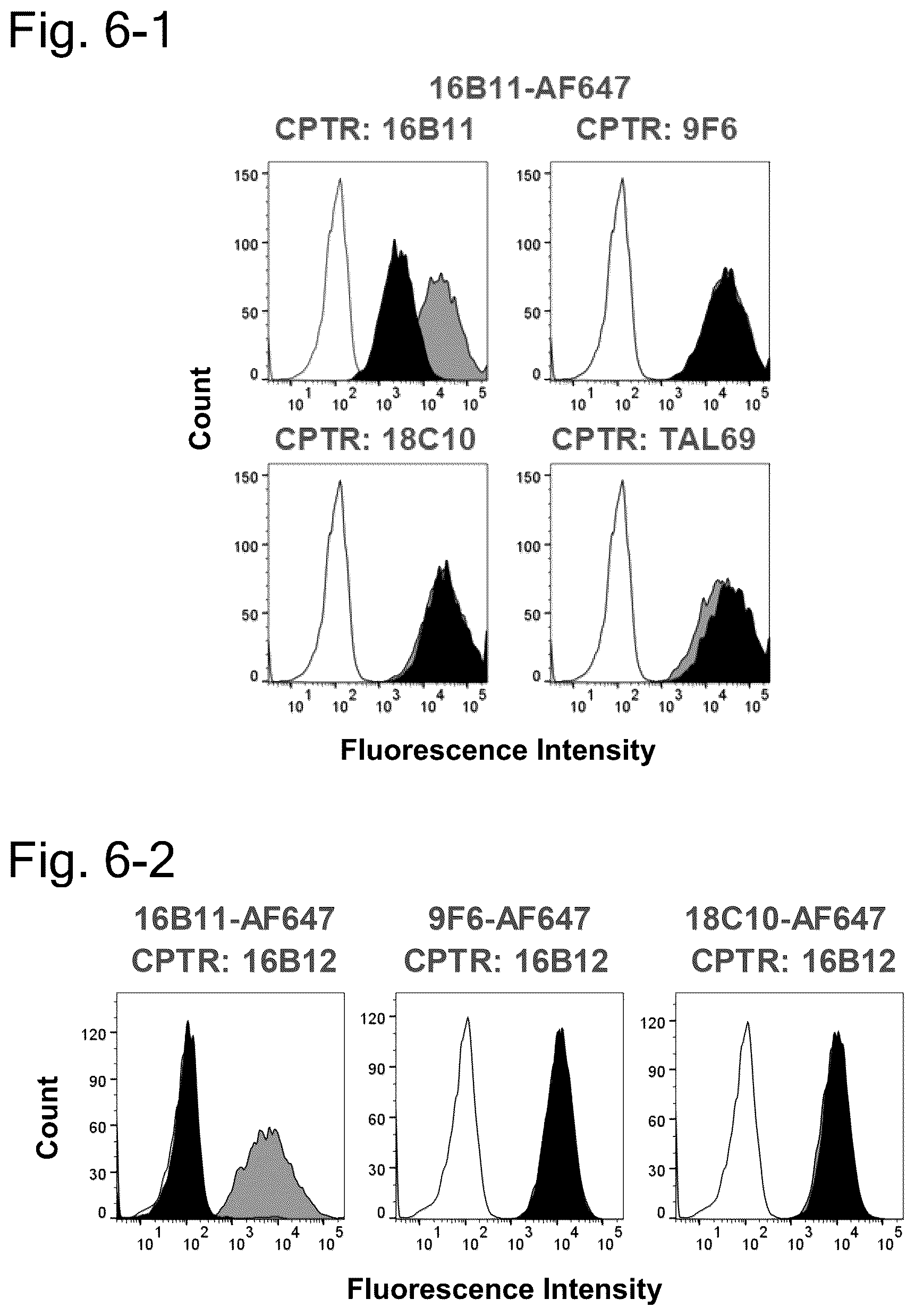 Patent US12304951 Figure 10 – Anti-TSPAN8/anti-CD3 bispecific antibody and anti-TSPAN8 antibody