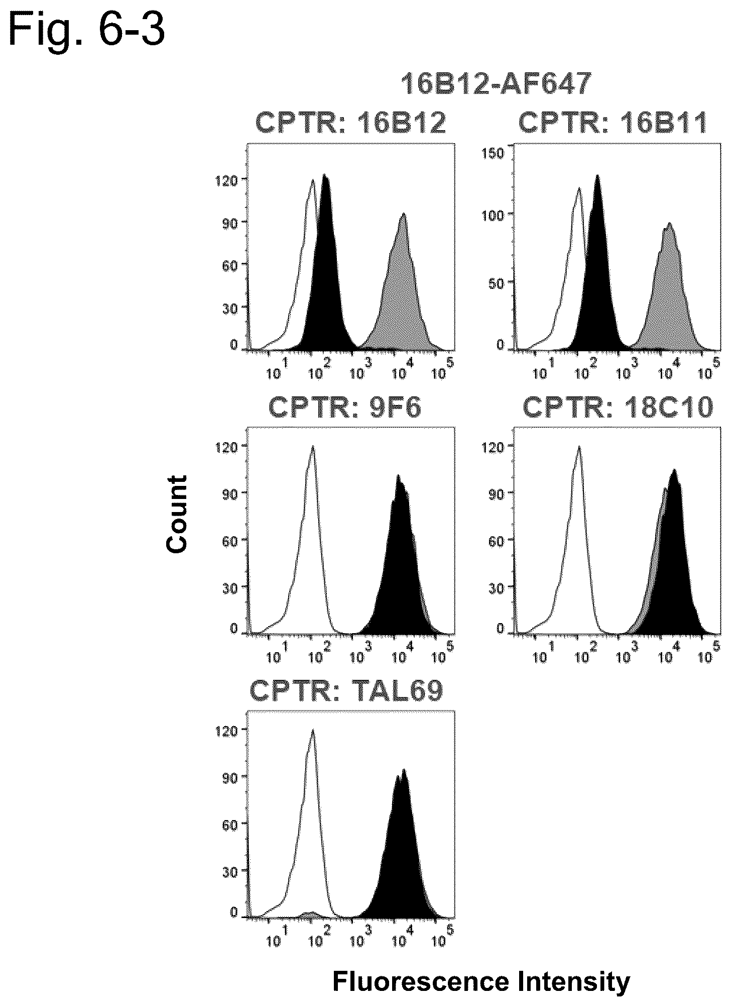 Patent US12304951 Figure 11 – Anti-TSPAN8/anti-CD3 bispecific antibody and anti-TSPAN8 antibody