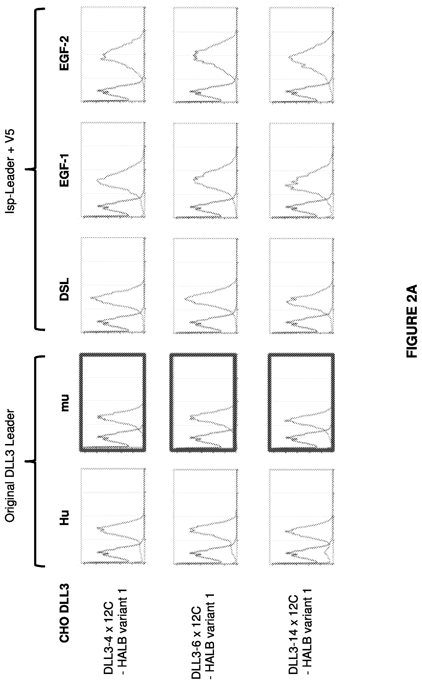 Patent US12304952 Figure 2 – Antibody constructs for DLL3 and CD3
