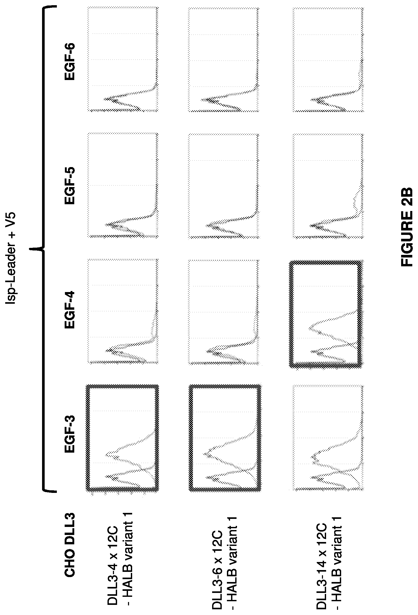 Patent US12304952 Figure 3 – Antibody constructs for DLL3 and CD3