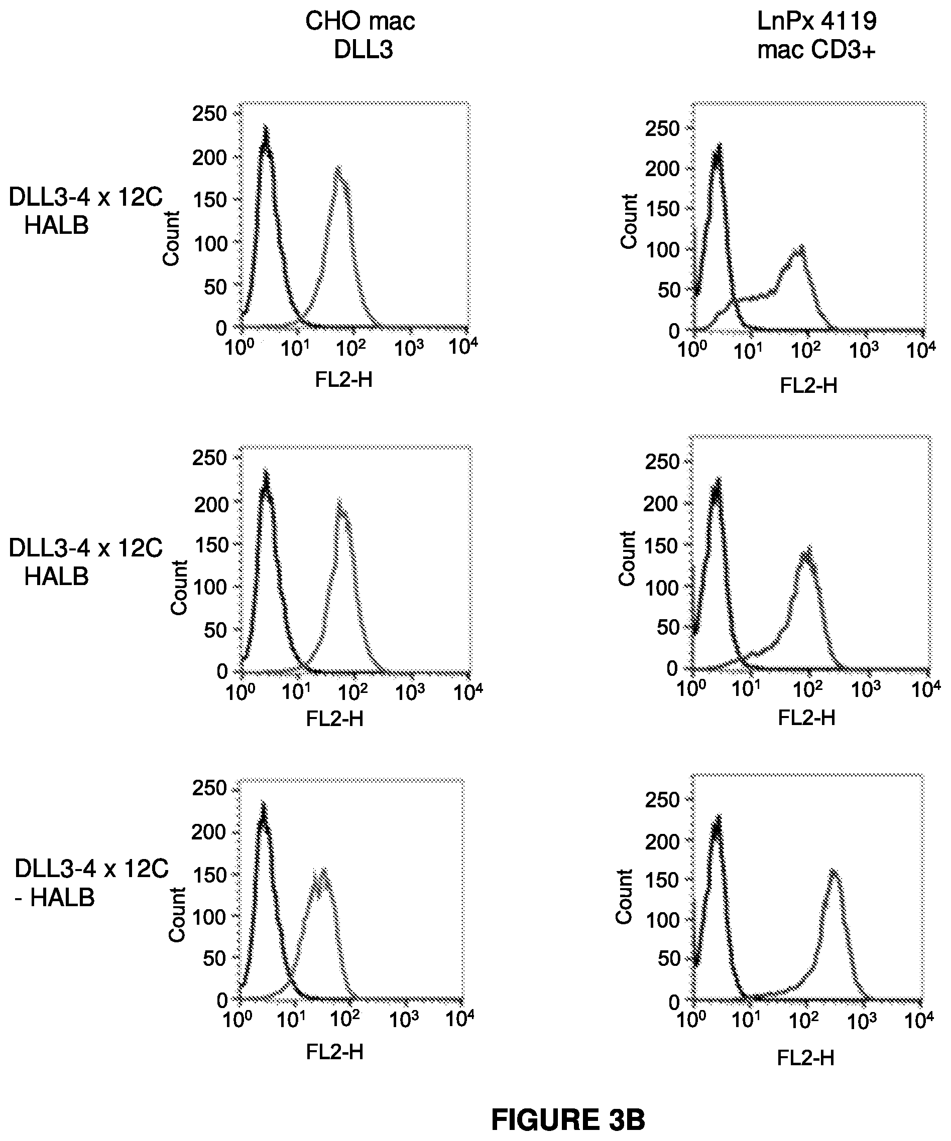 Patent US12304952 Figure 5 – Antibody constructs for DLL3 and CD3