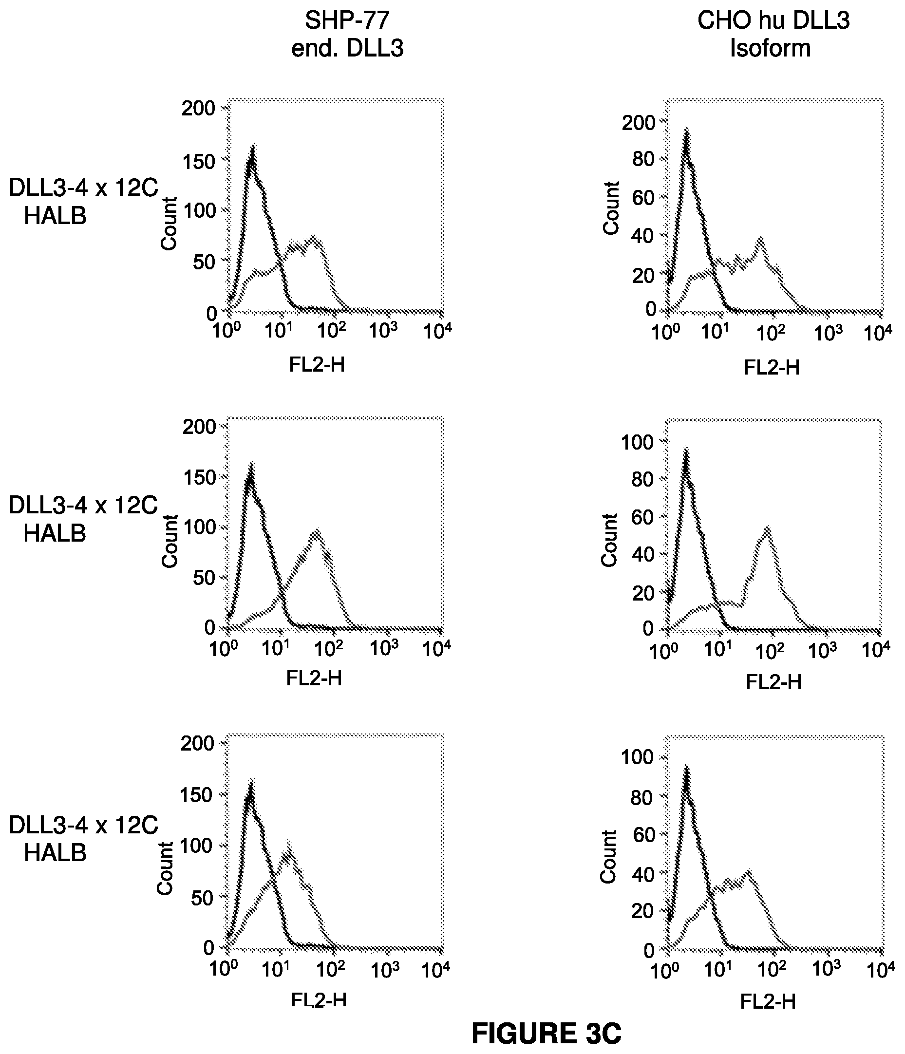 Patent US12304952 Figure 6 – Antibody constructs for DLL3 and CD3