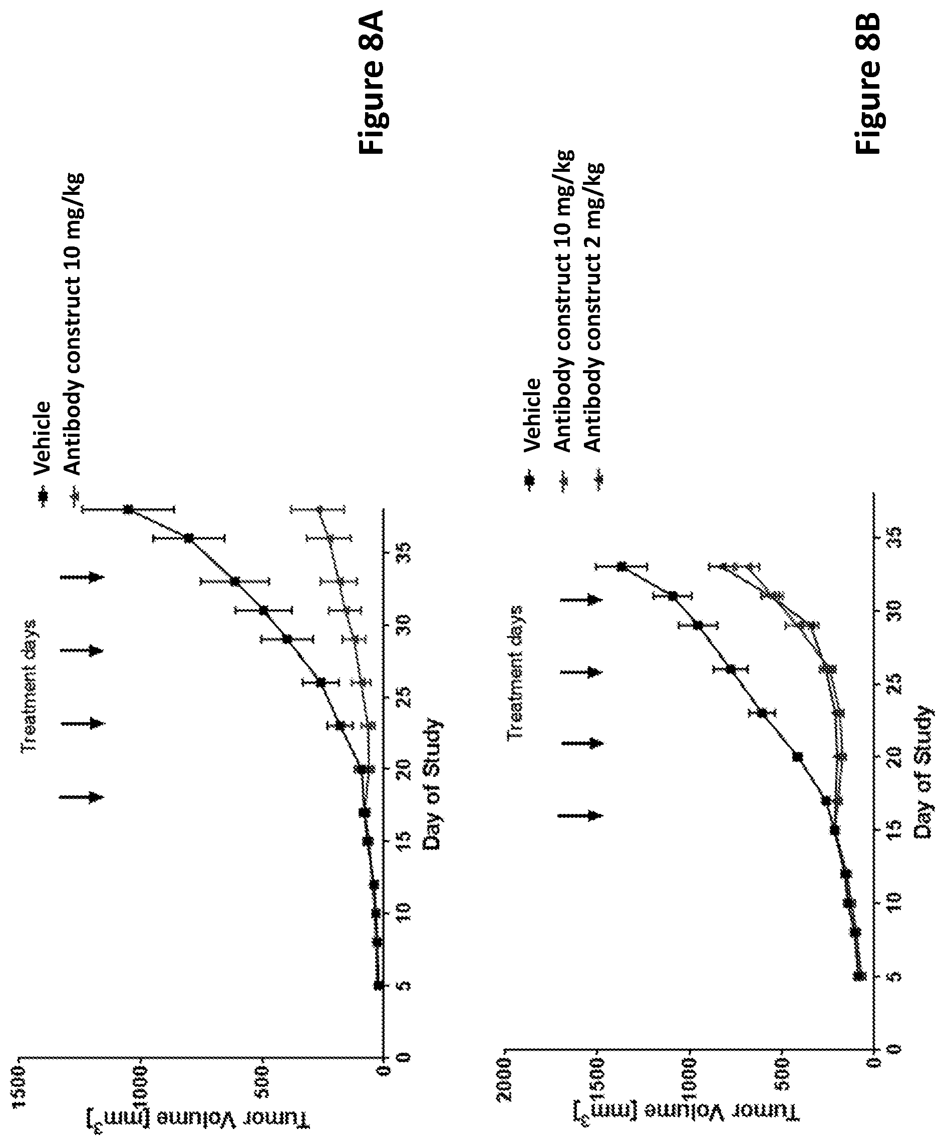 Patent US12304952 Figure 11 – Antibody constructs for DLL3 and CD3