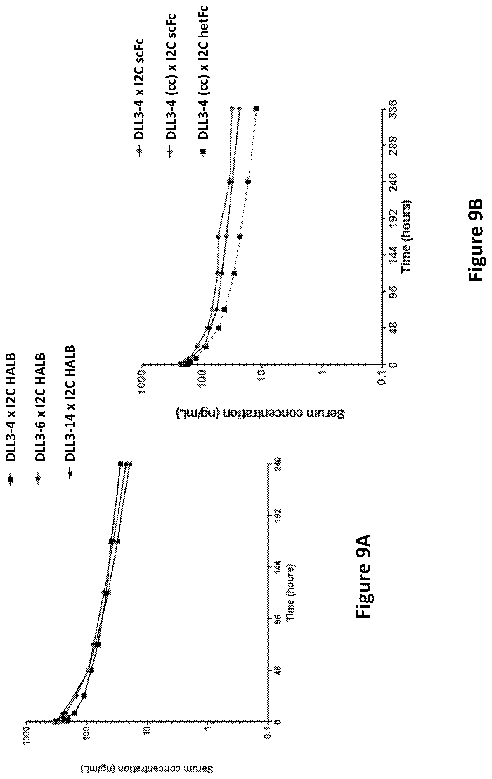 Patent US12304952 Figure 12 – Antibody constructs for DLL3 and CD3