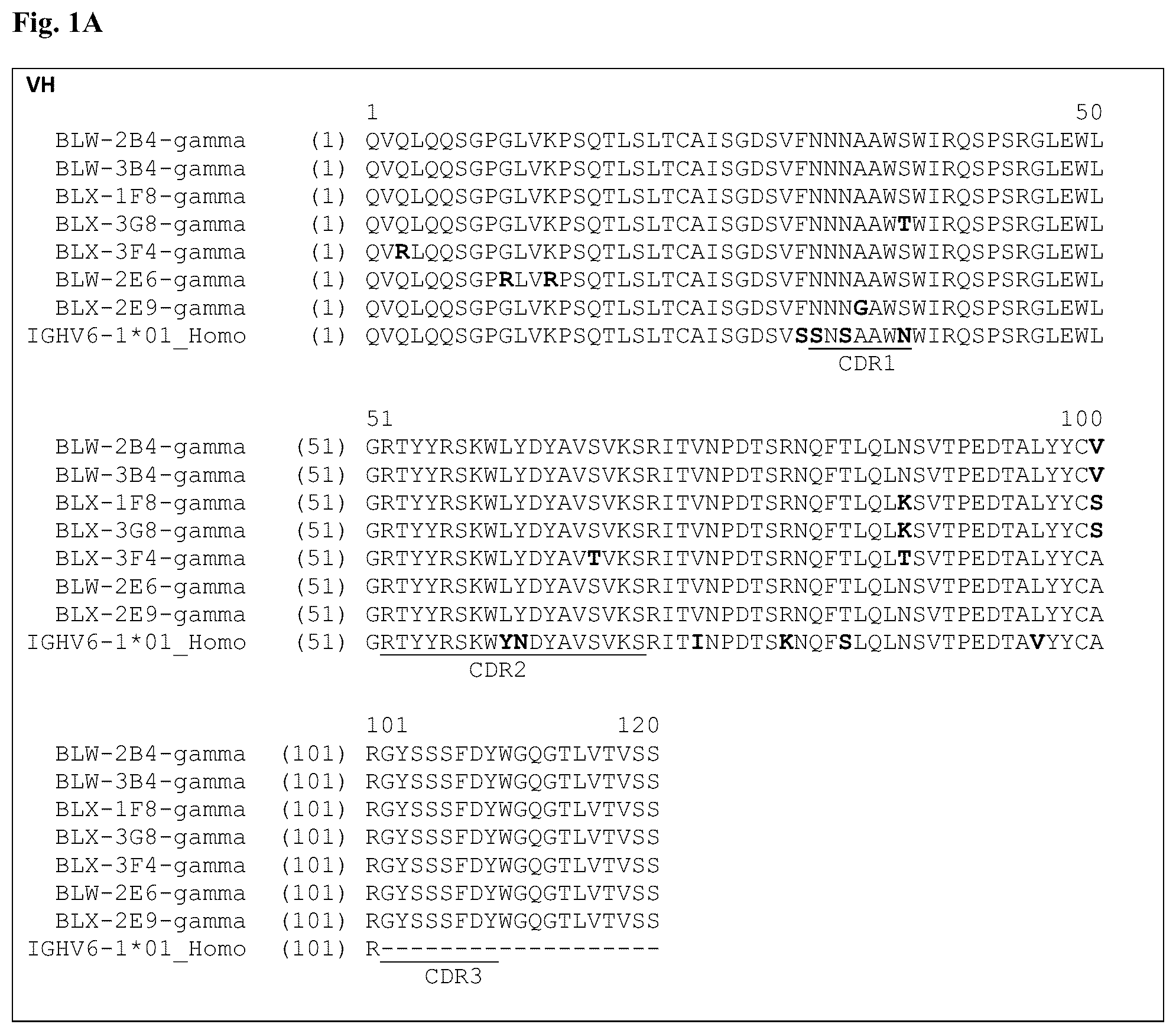Patent US12304953 Figure 1 – Anti-CD3 antibodies and uses thereof