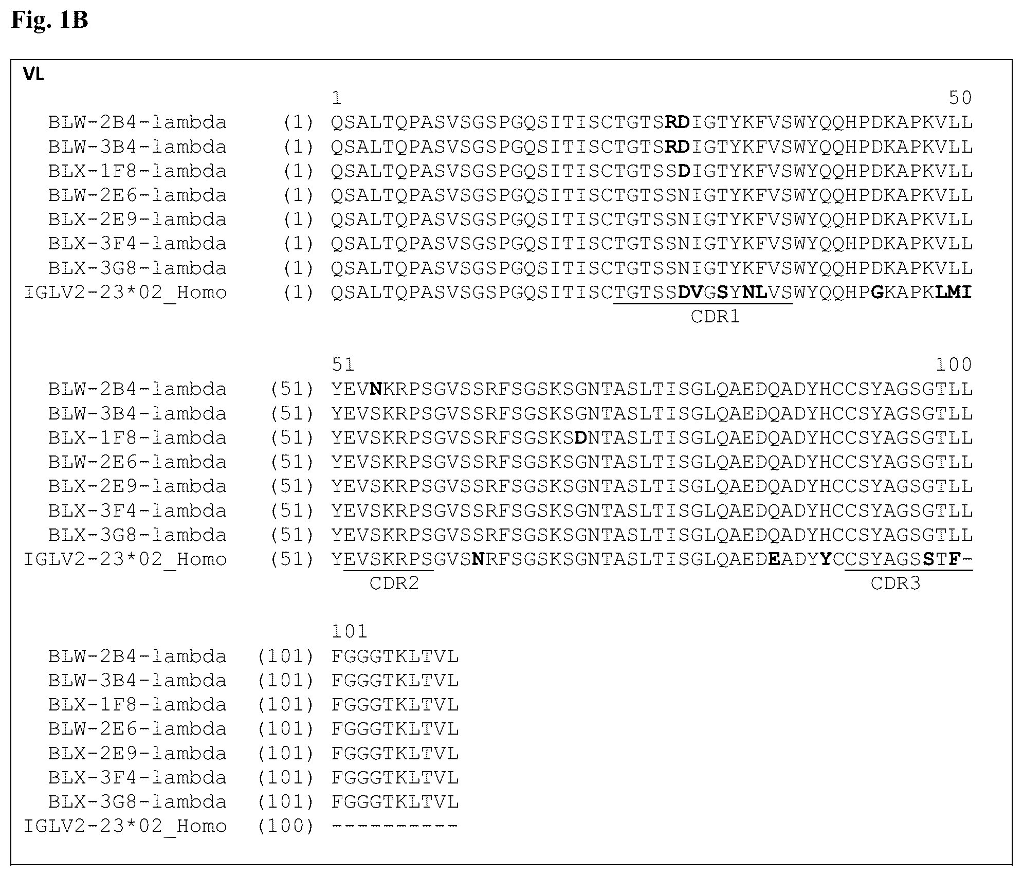 Patent US12304953 Figure 2 – Anti-CD3 antibodies and uses thereof