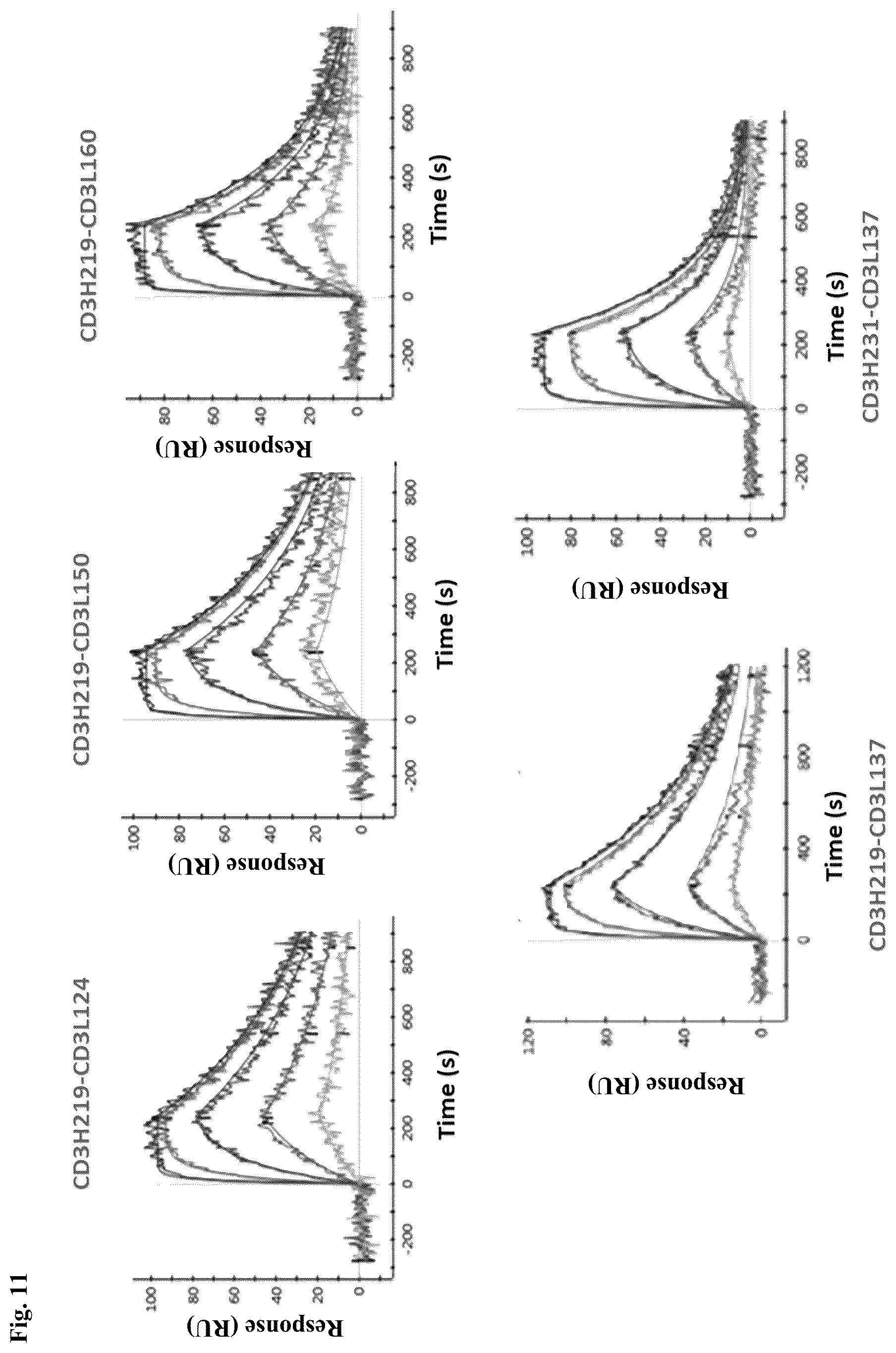 Patent US12304953 Figure 12 – Anti-CD3 antibodies and uses thereof