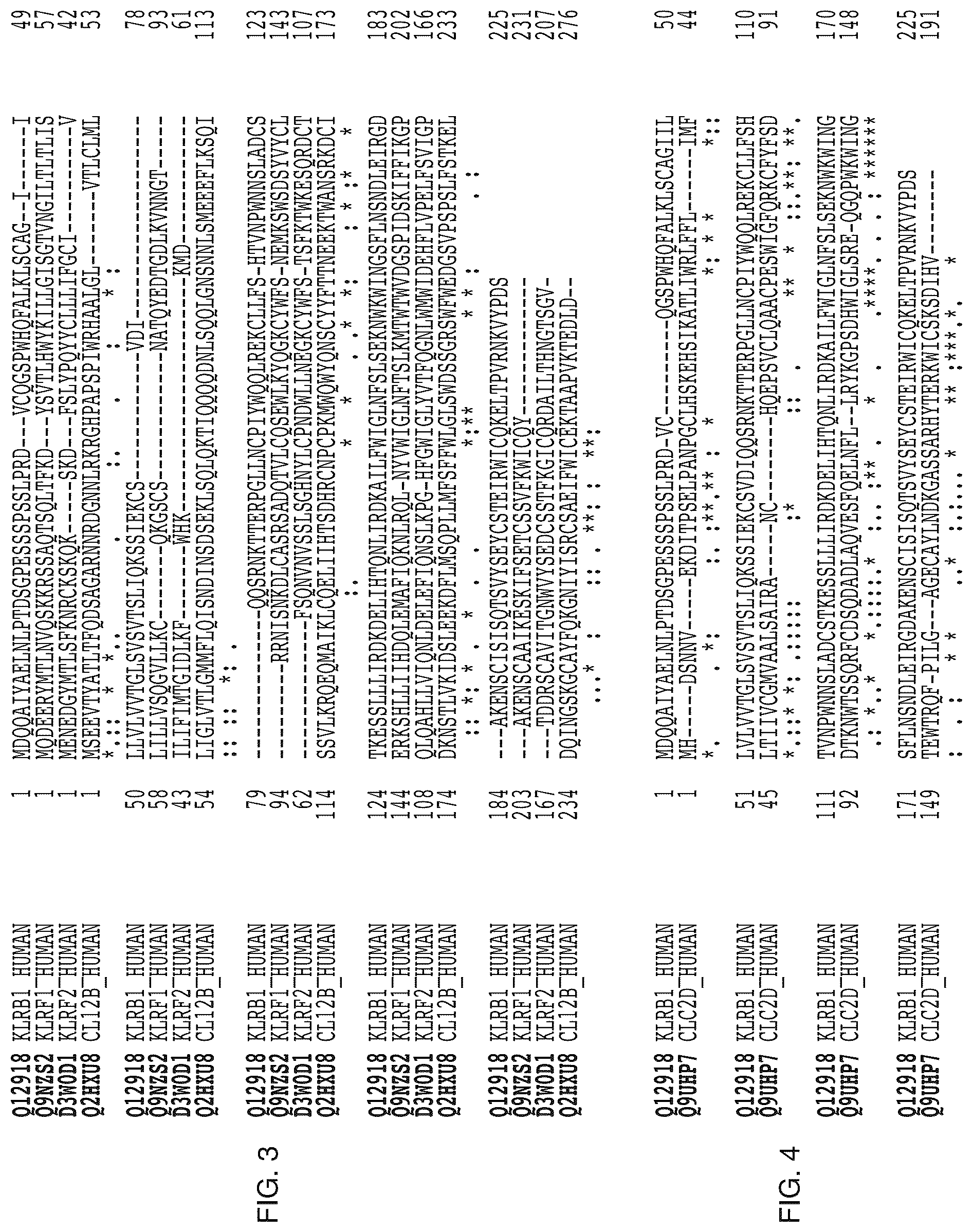 Patent US12304957 Figure 5 – Anti-CD161 antibodies and uses thereof