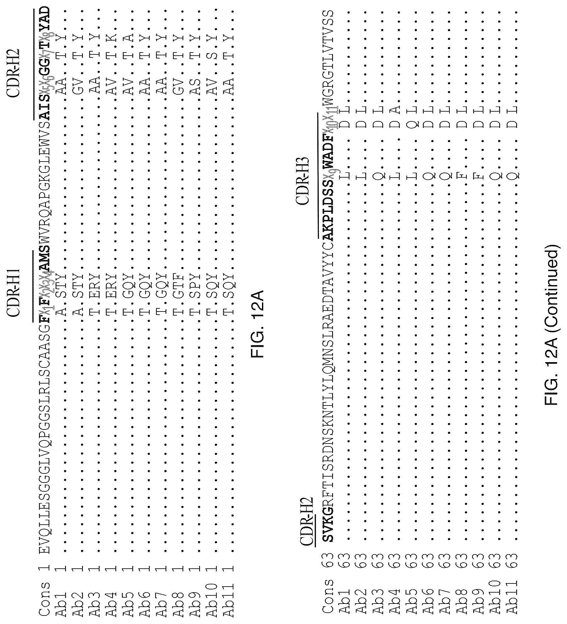 Patent US12304957 Figure 16 – Anti-CD161 antibodies and uses thereof