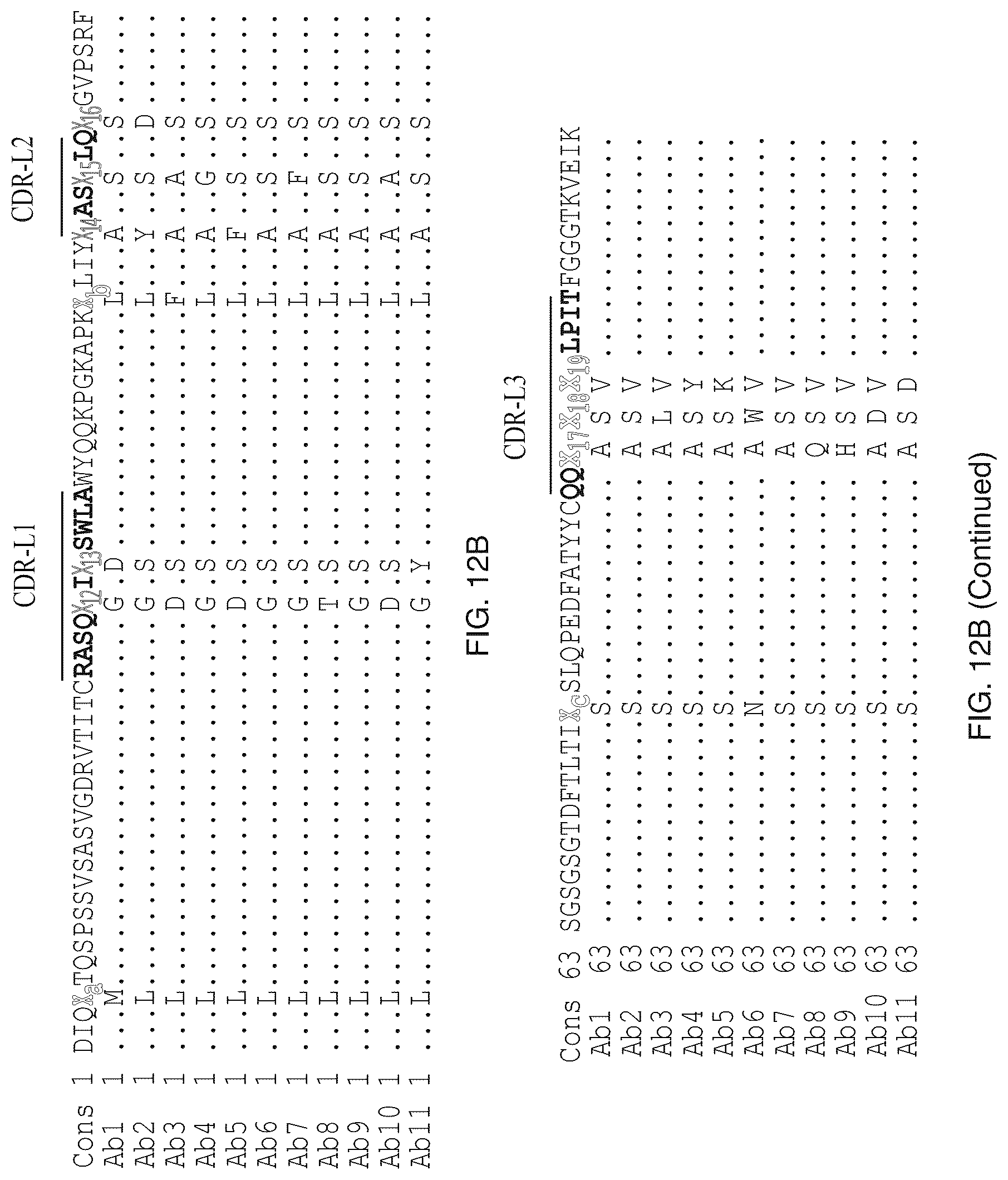 Patent US12304957 Figure 17 – Anti-CD161 antibodies and uses thereof