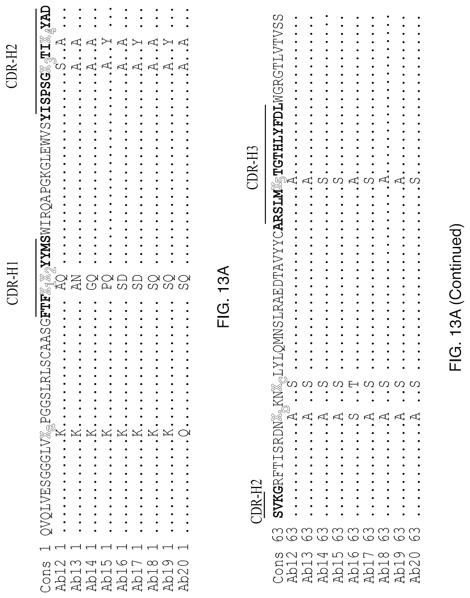 Patent US12304957 Figure 18 – Anti-CD161 antibodies and uses thereof