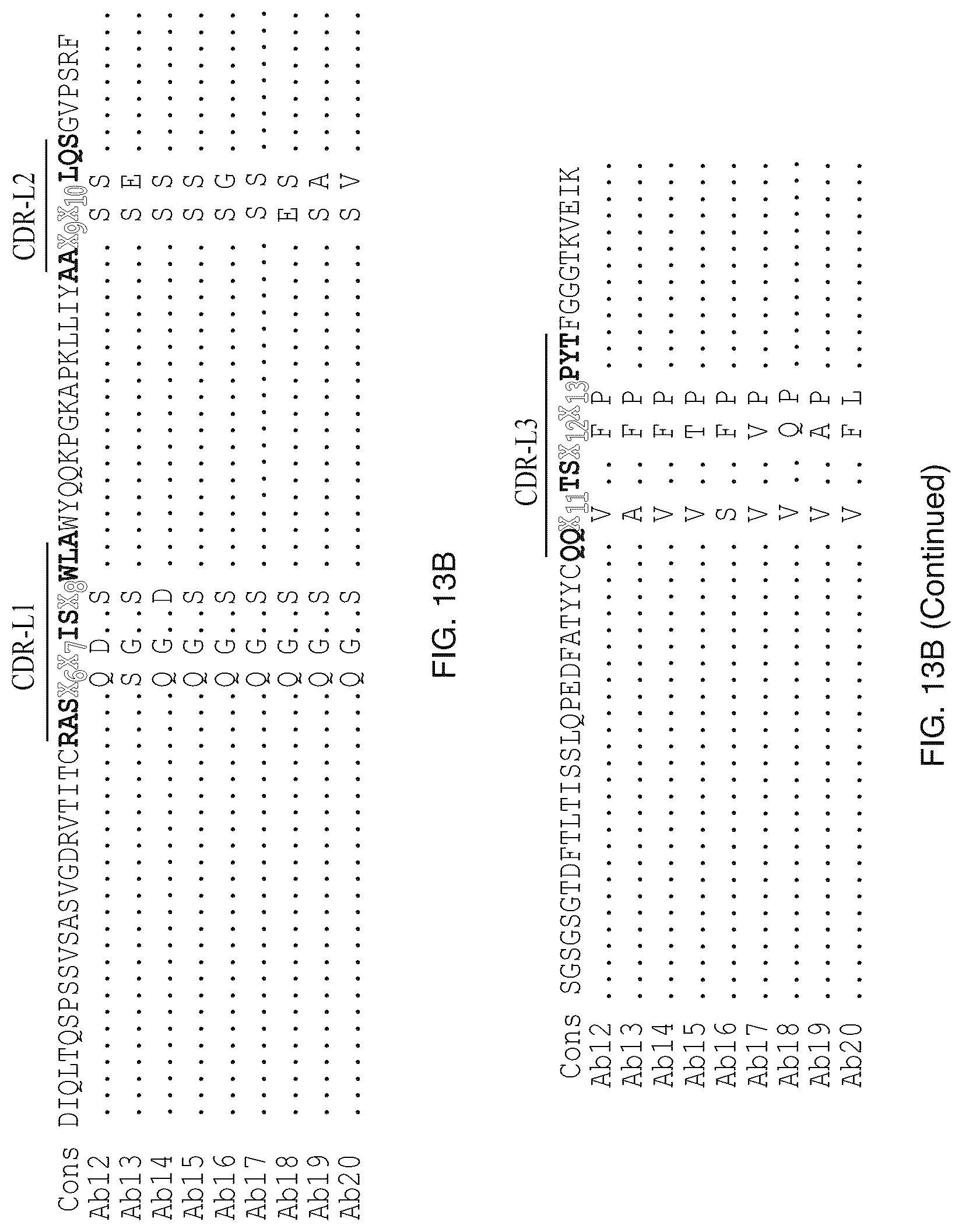 Patent US12304957 Figure 19 – Anti-CD161 antibodies and uses thereof