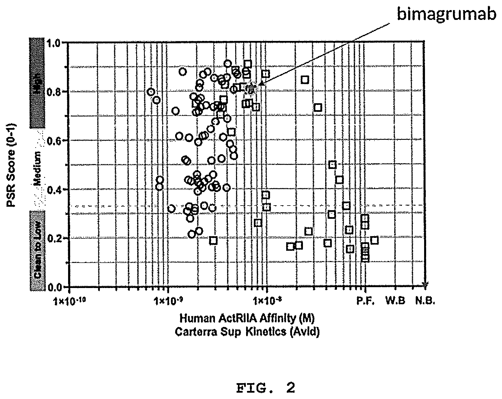 Patent US12304958 Figure 2 – Antibodies targeting ActRIIA and ActRIIB