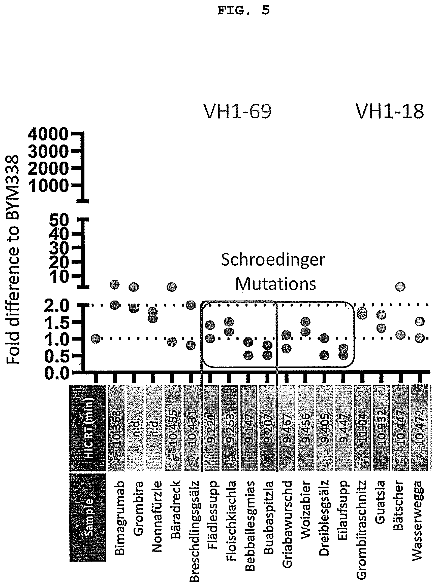 Patent US12304958 Figure 5 – Antibodies targeting ActRIIA and ActRIIB