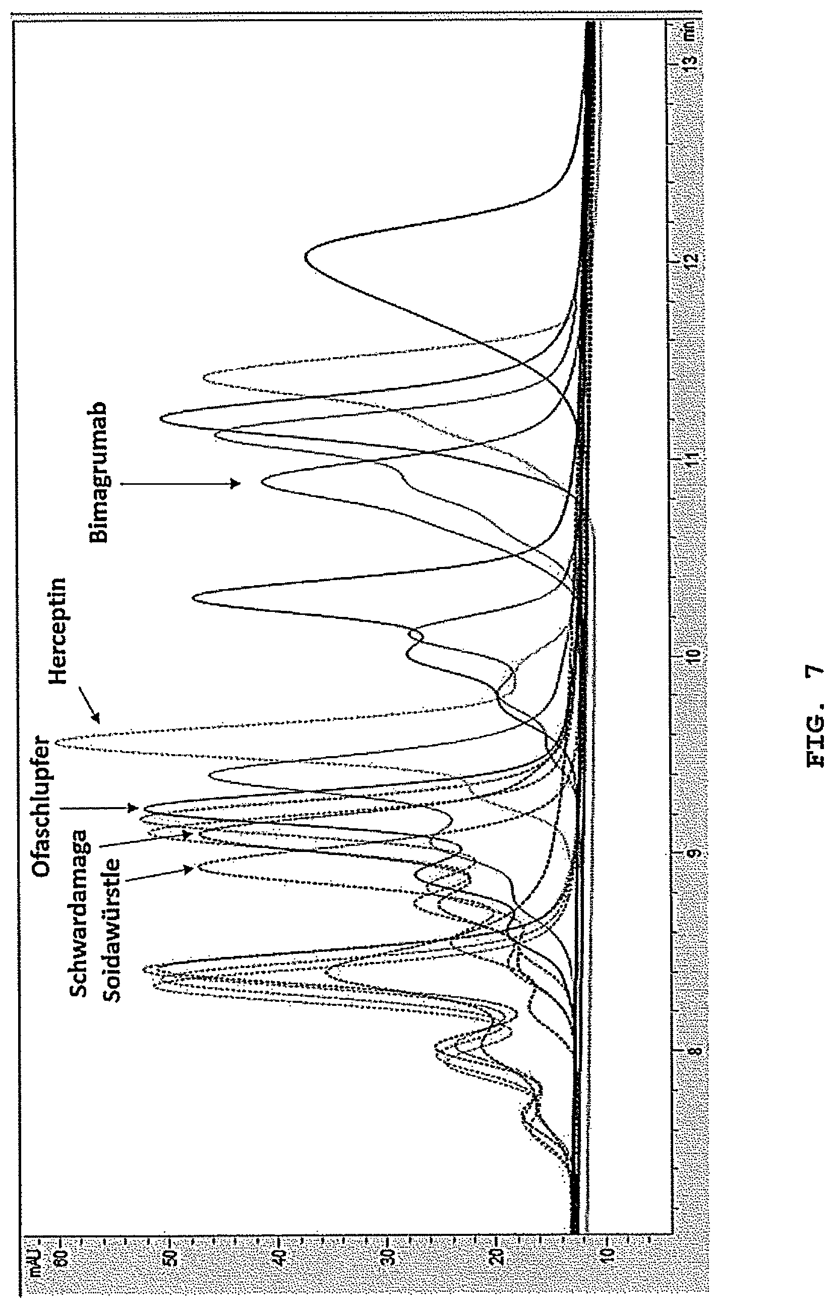 Patent US12304958 Figure 7 – Antibodies targeting ActRIIA and ActRIIB
