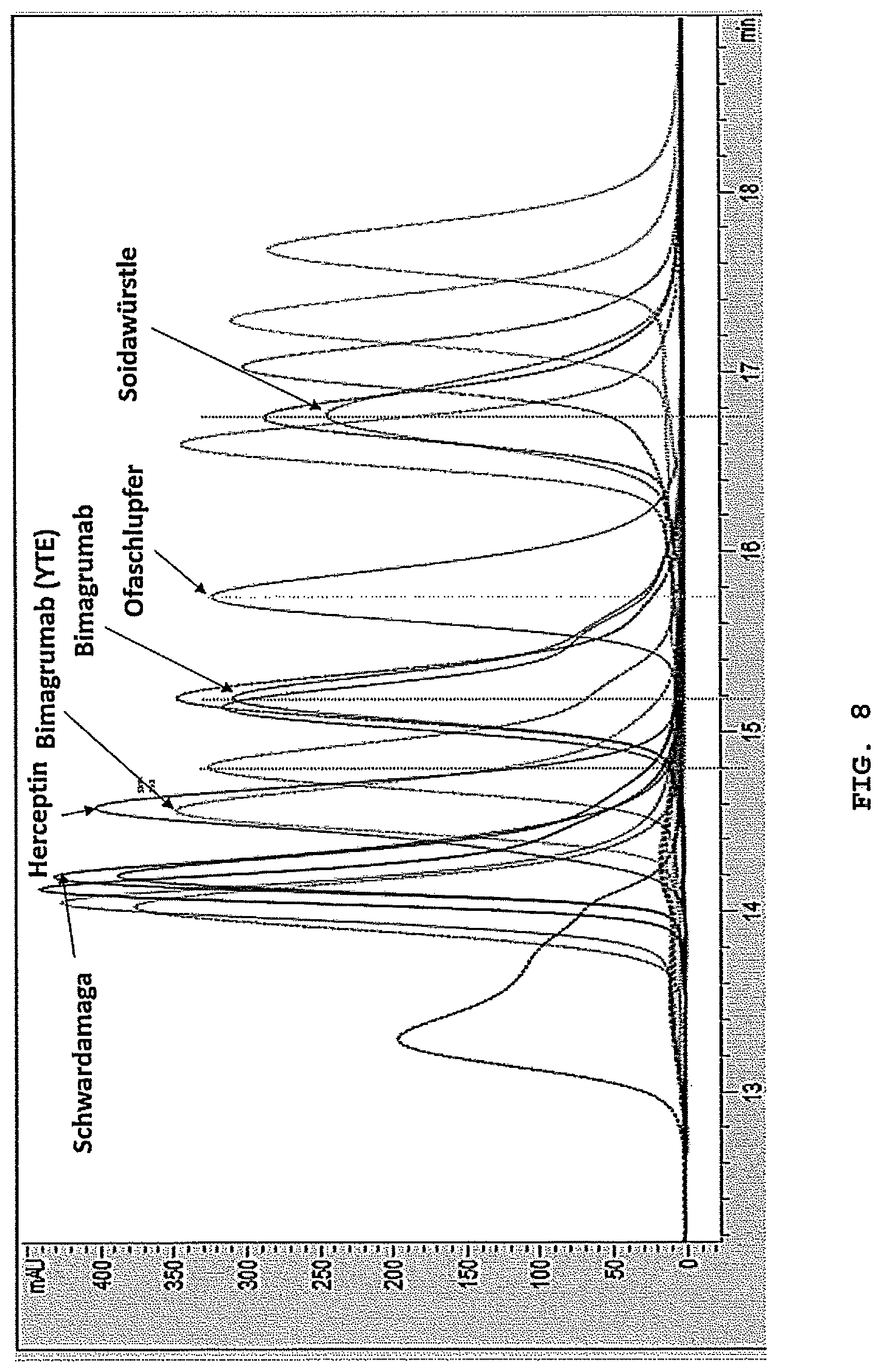 Patent US12304958 Figure 8 – Antibodies targeting ActRIIA and ActRIIB