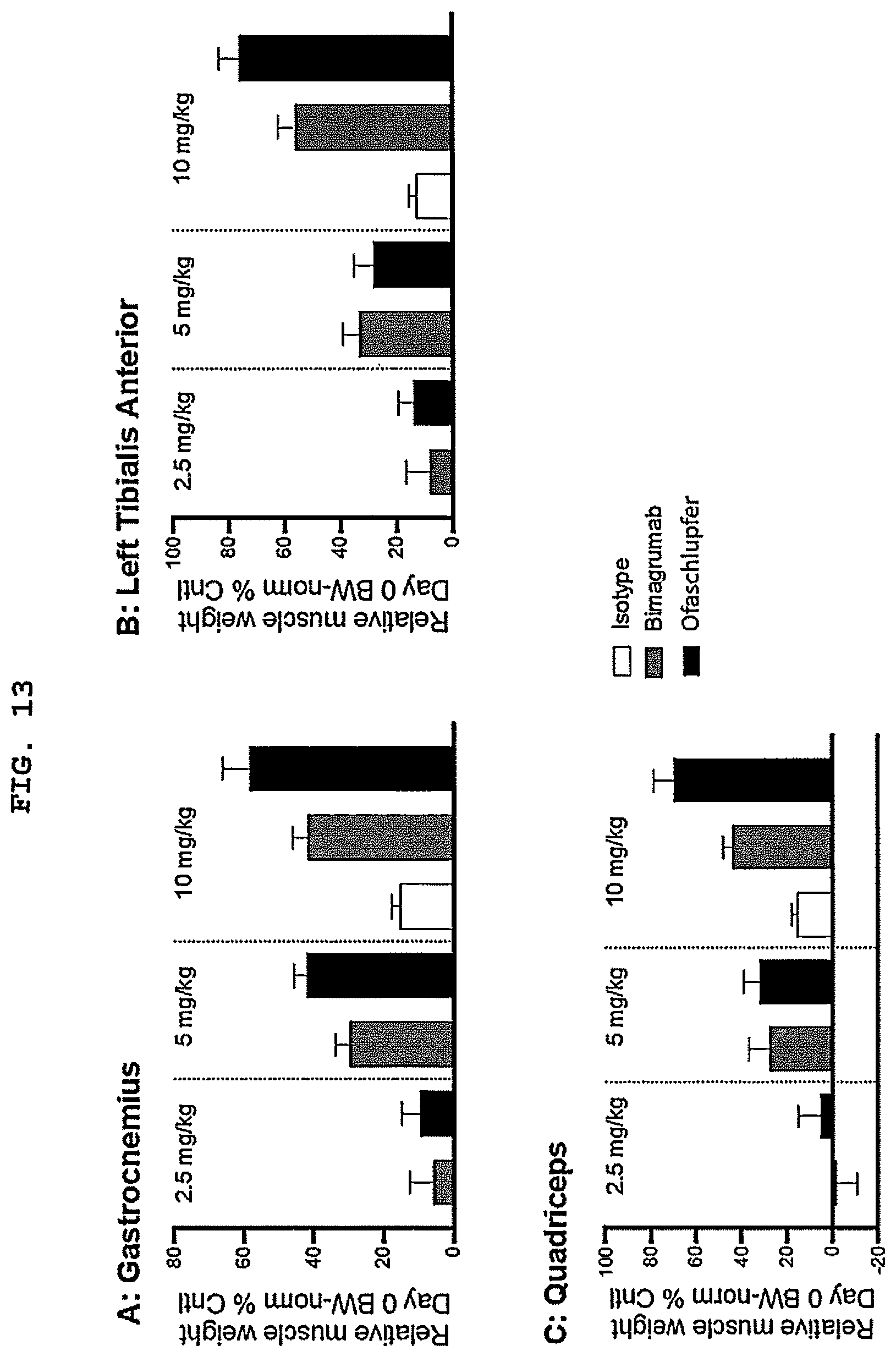Patent US12304958 Figure 13 – Antibodies targeting ActRIIA and ActRIIB