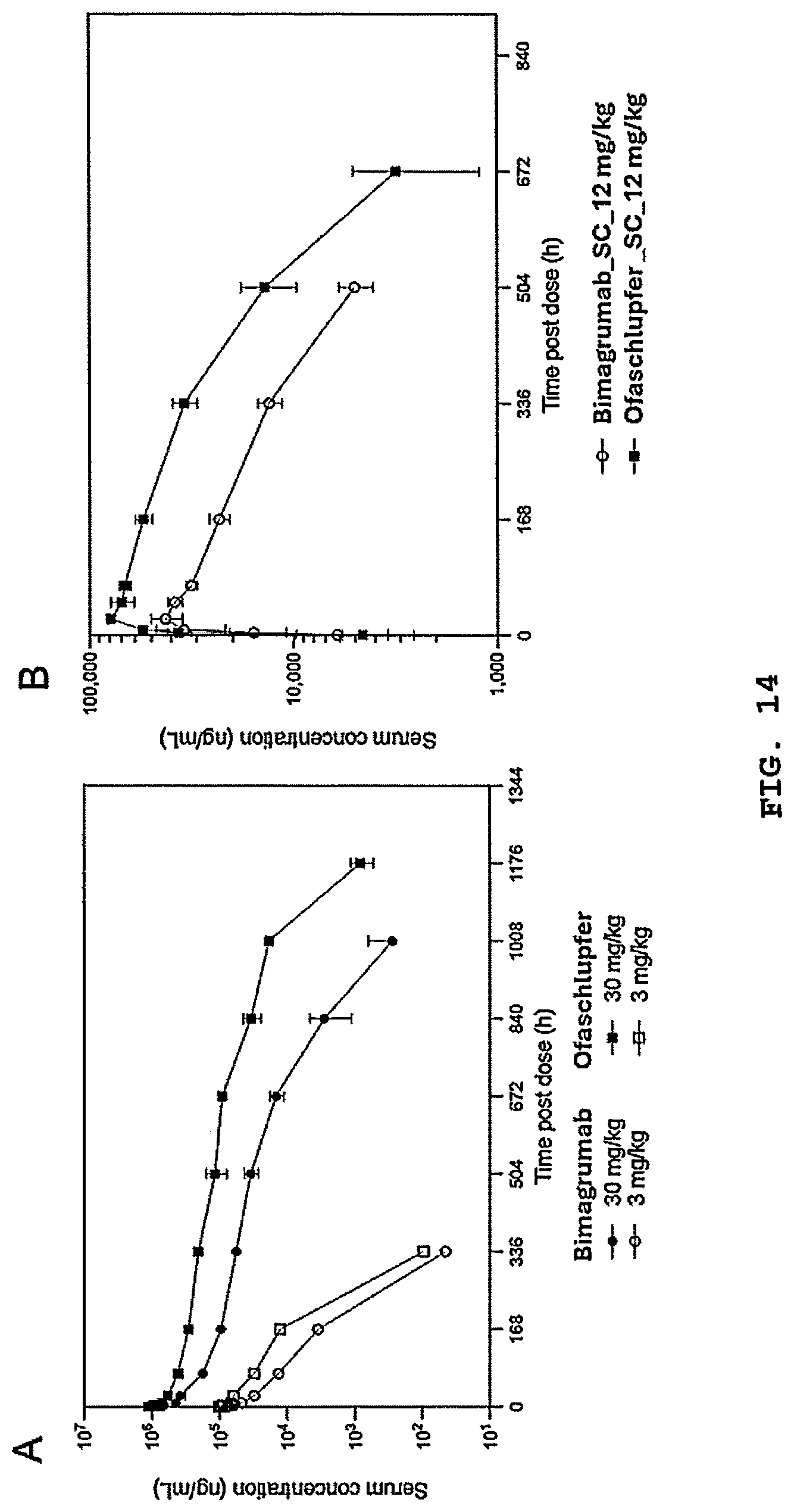 Patent US12304958 Figure 14 – Antibodies targeting ActRIIA and ActRIIB
