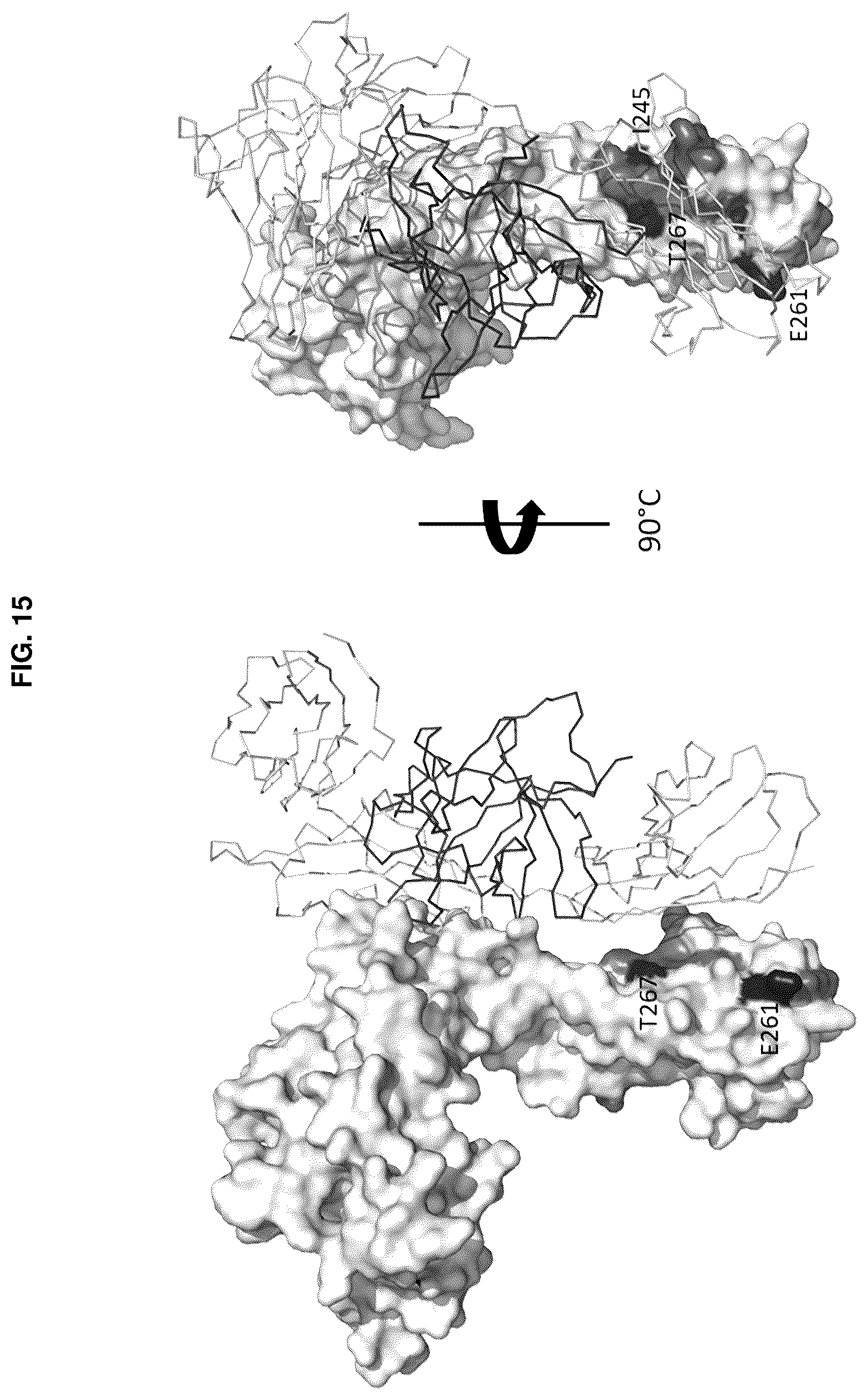 Patent US12304959 Figure 19 – Method of treating asthma with anti-IL1RAP antibodies