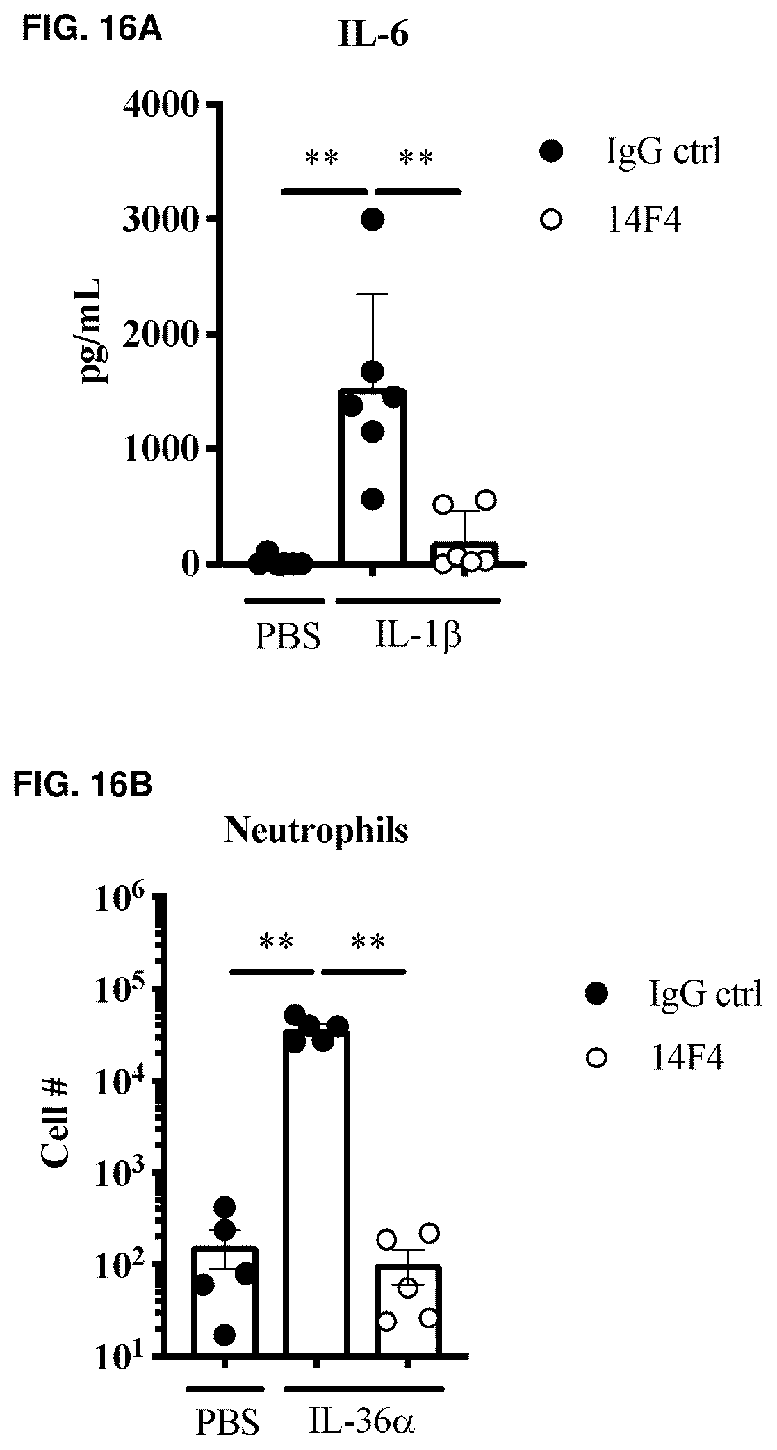 Patent US12304959 Figure 20 – Method of treating asthma with anti-IL1RAP antibodies