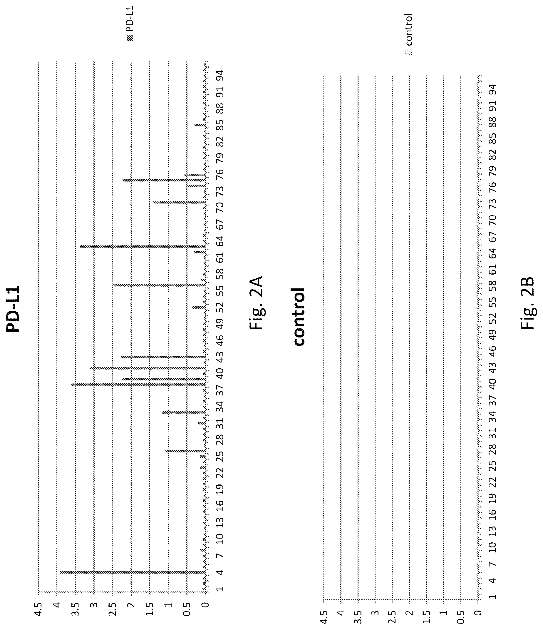 Patent US12304961 Figure 2 – PD-L1 and OX40 binding proteins for cancer regulation