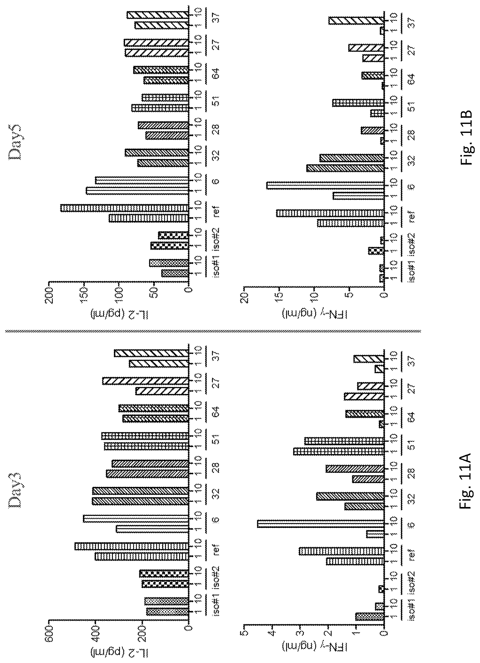 Patent US12304961 Figure 11 – PD-L1 and OX40 binding proteins for cancer regulation