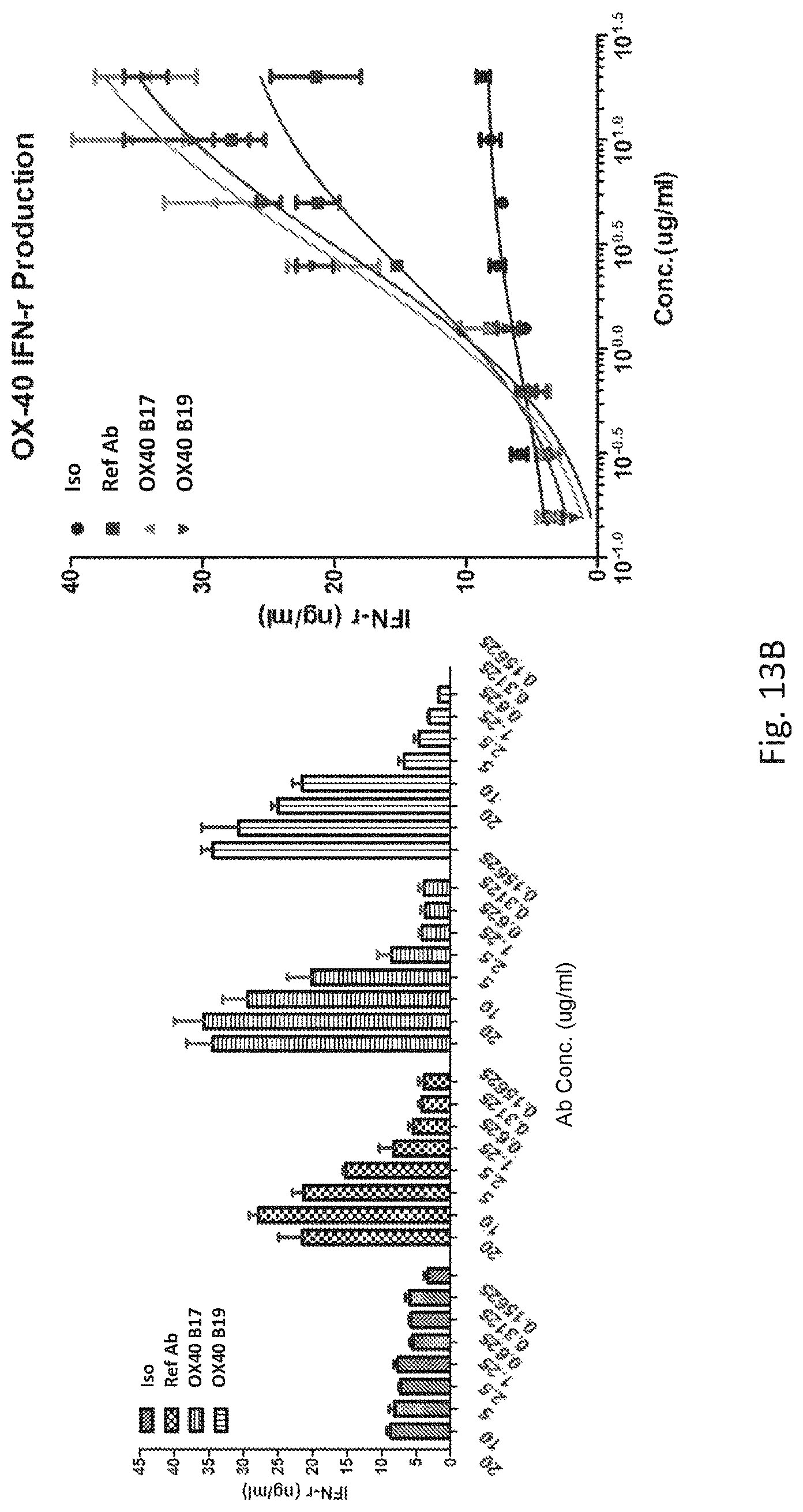 Patent US12304961 Figure 15 – PD-L1 and OX40 binding proteins for cancer regulation