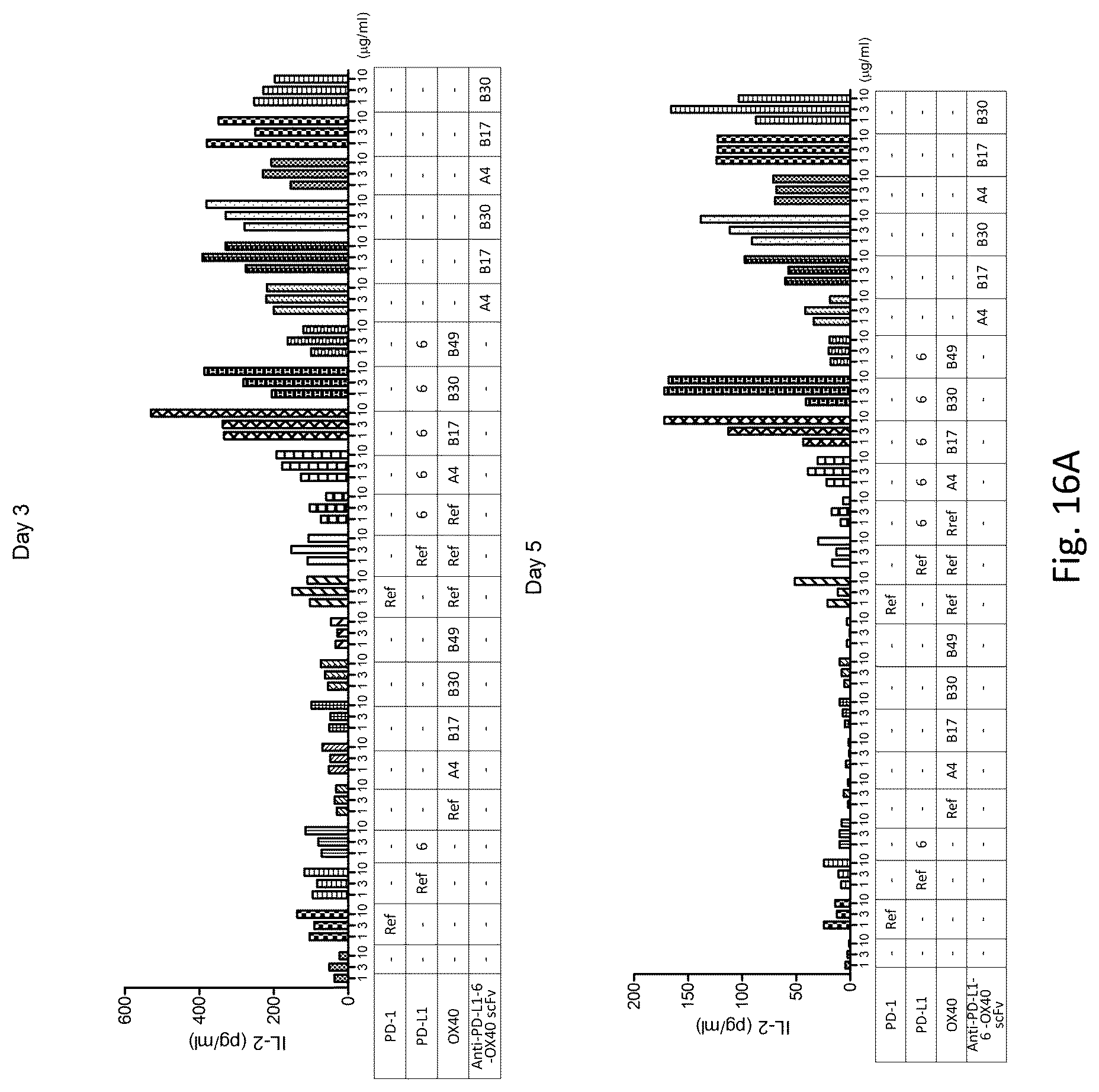 Patent US12304961 Figure 18 – PD-L1 and OX40 binding proteins for cancer regulation