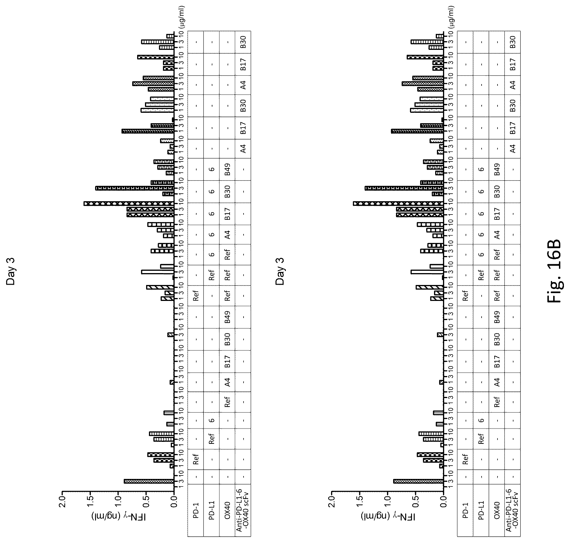 Patent US12304961 Figure 19 – PD-L1 and OX40 binding proteins for cancer regulation