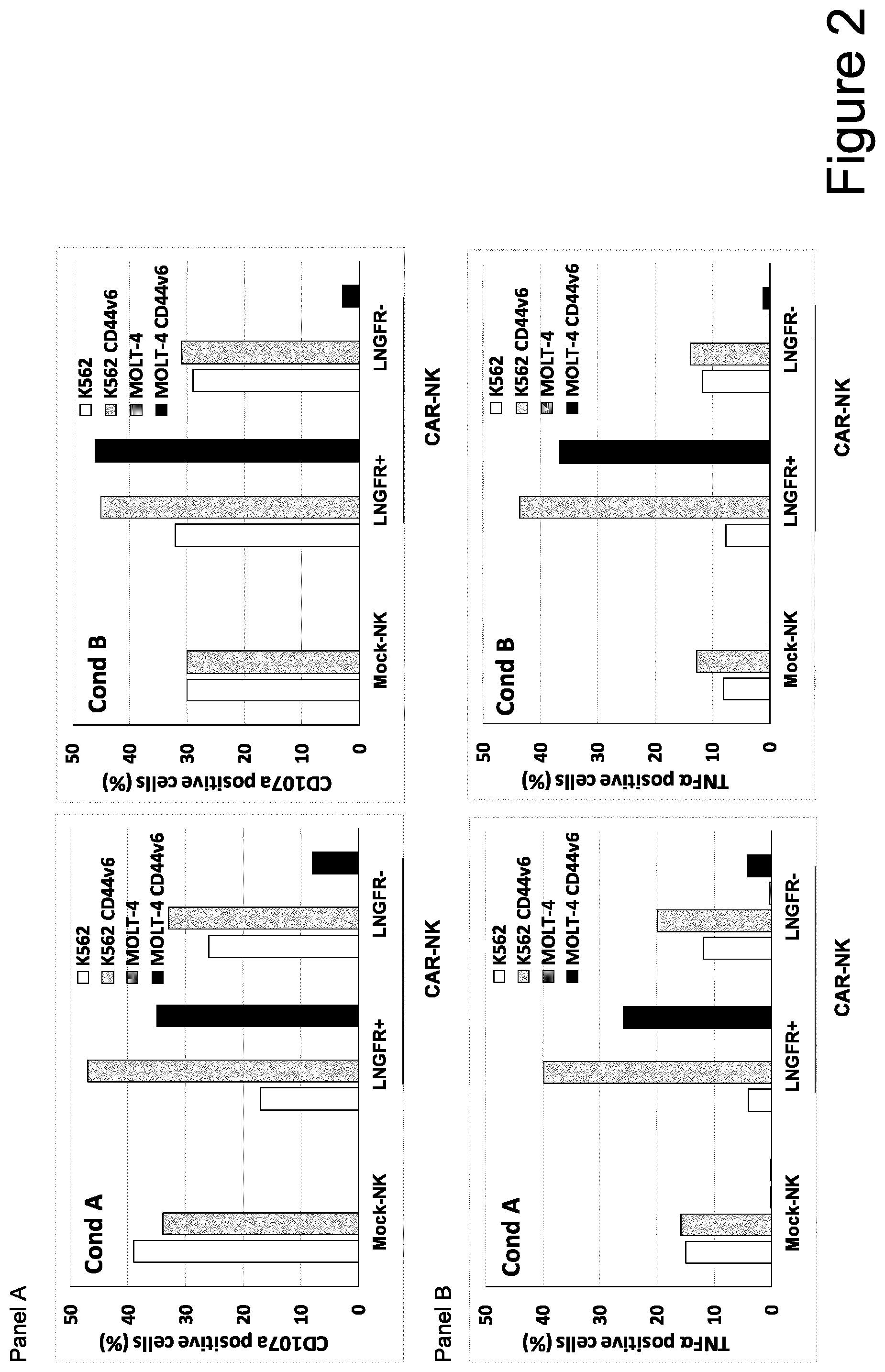 Patent US12304962 Figure 2 – CAR NK cells