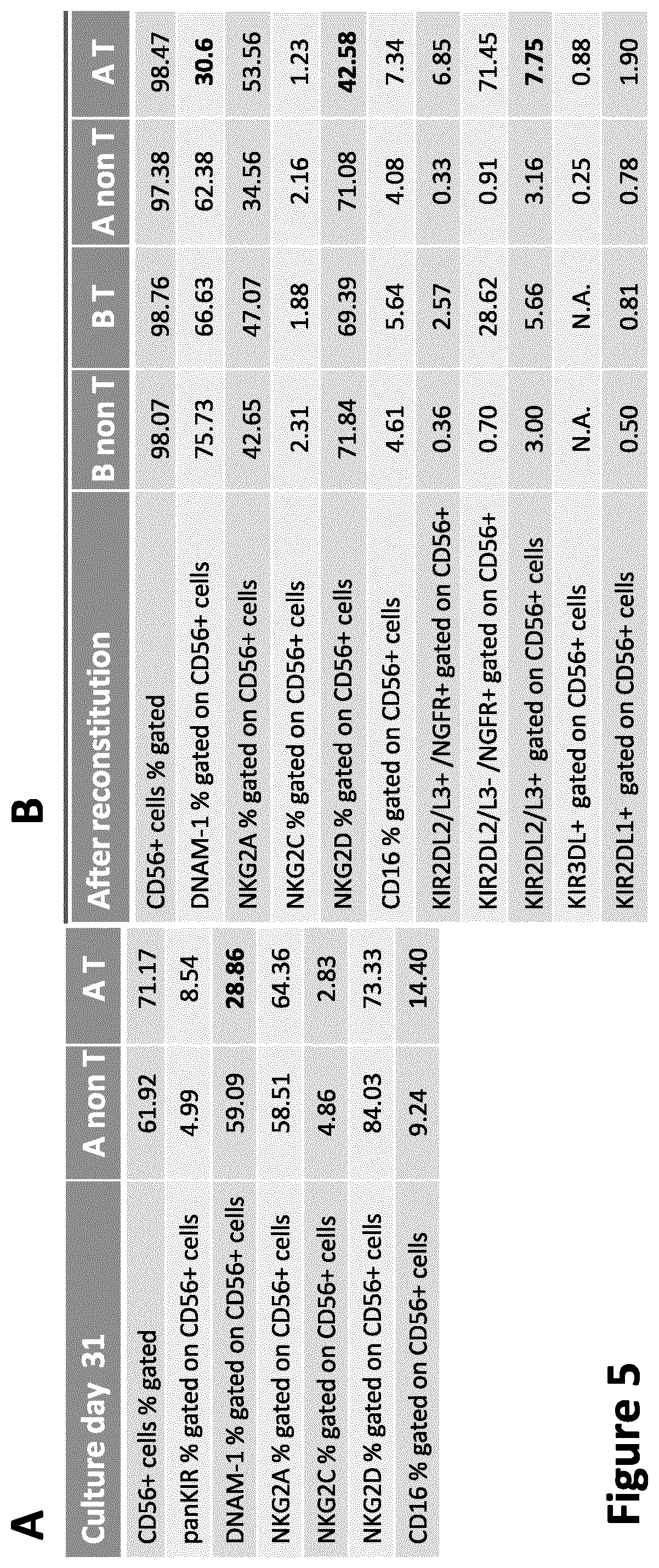 Patent US12304962 Figure 5 – CAR NK cells