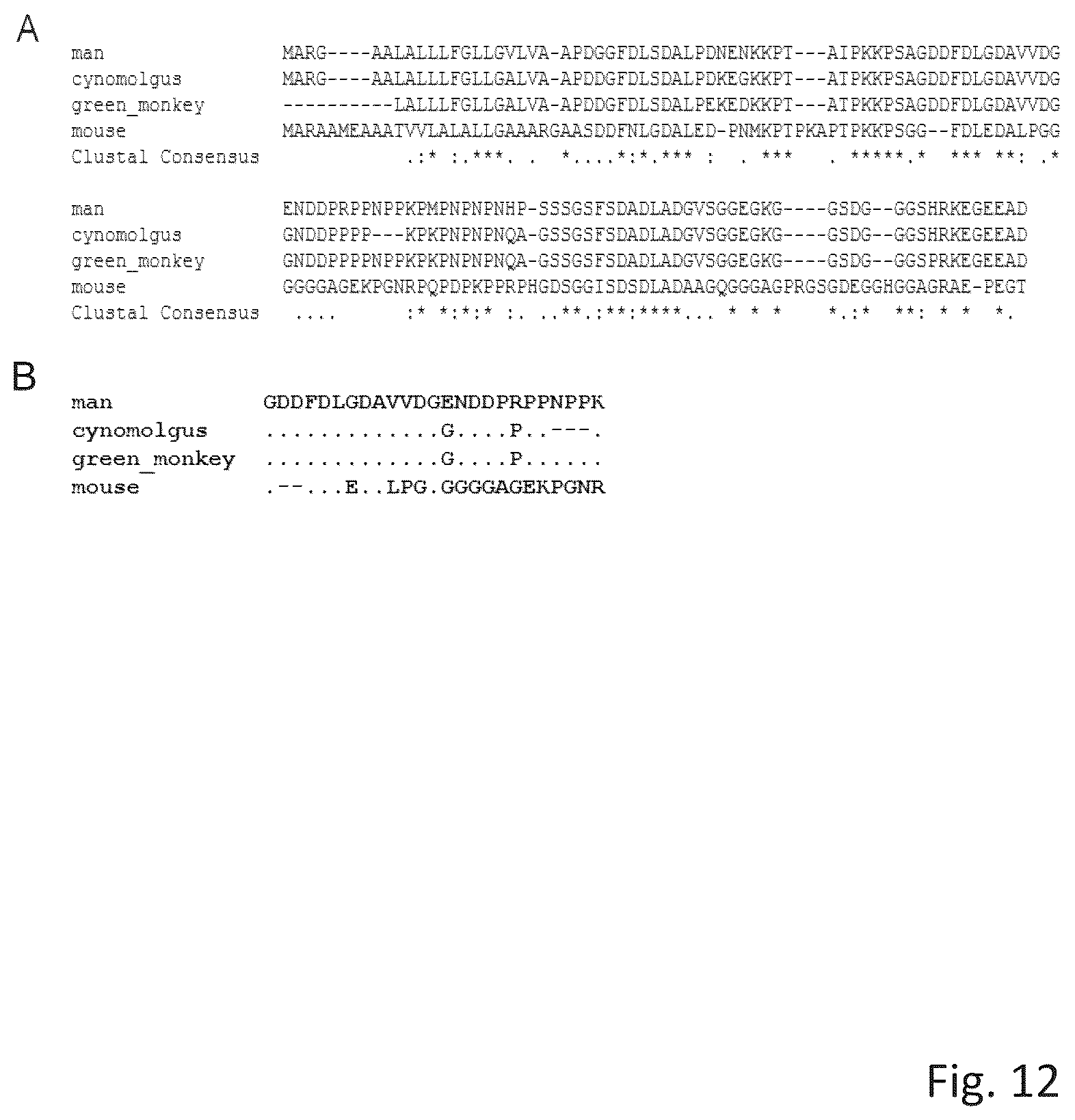 Patent US12304963 Figure 12 – Antibody complex and uses thereof