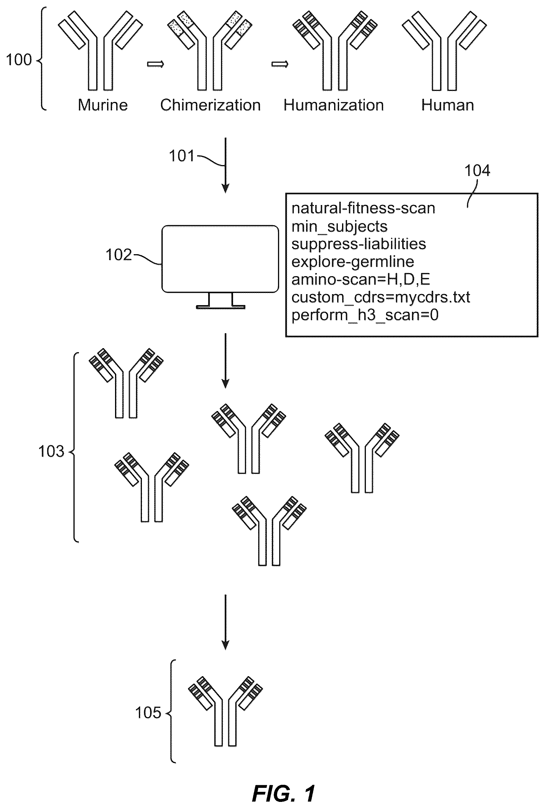 Patent US12304965 — Variant nucleic acid libraries for coronavirus — Figure 1