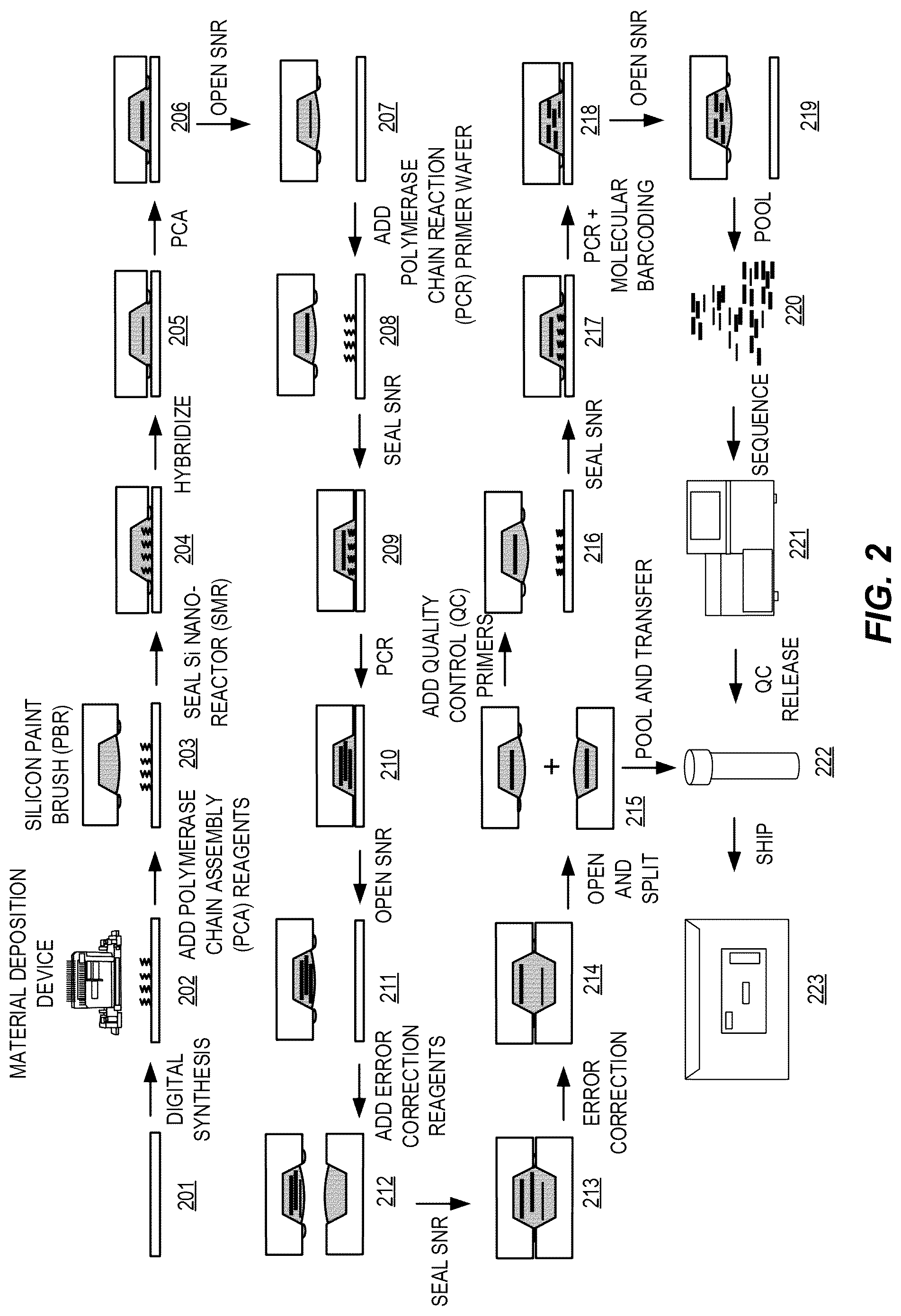 Patent US12304965 Figure 2 – Variant nucleic acid libraries for coronavirus