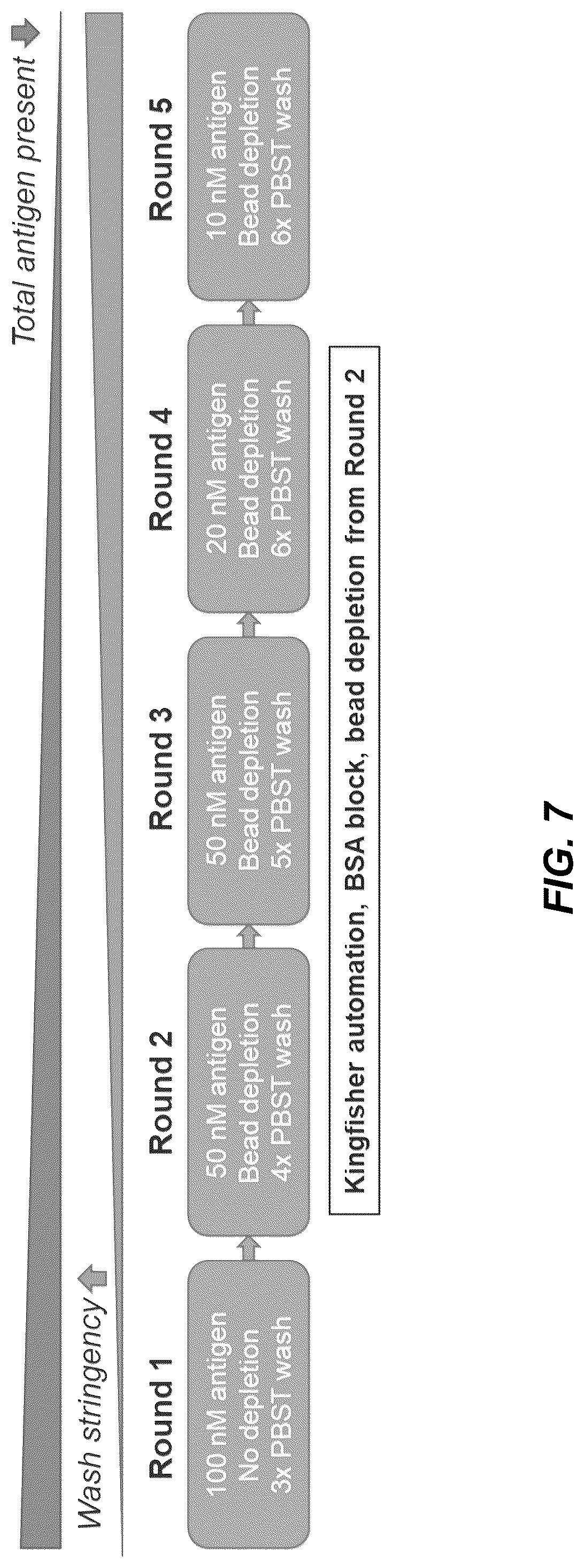 Patent US12304965 Figure 7 – Variant nucleic acid libraries for coronavirus