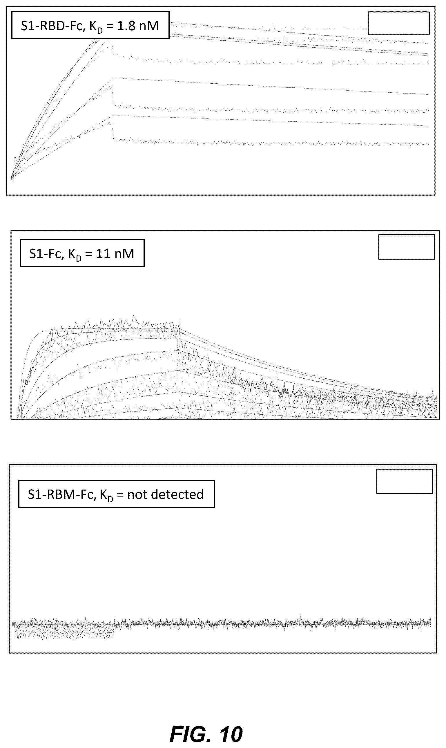 Patent US12304965 Figure 11 – Variant nucleic acid libraries for coronavirus