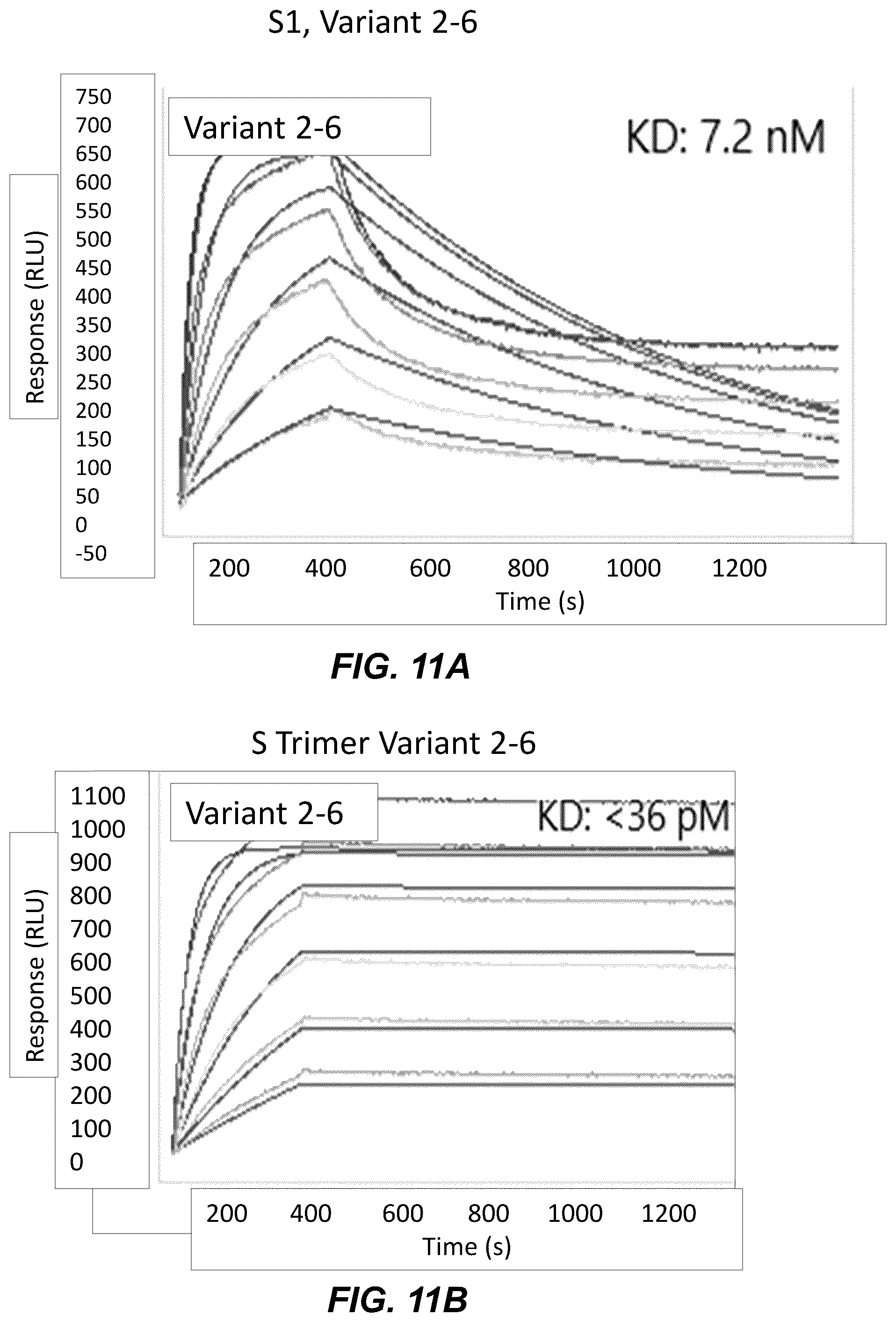 Patent US12304965 Figure 12 – Variant nucleic acid libraries for coronavirus
