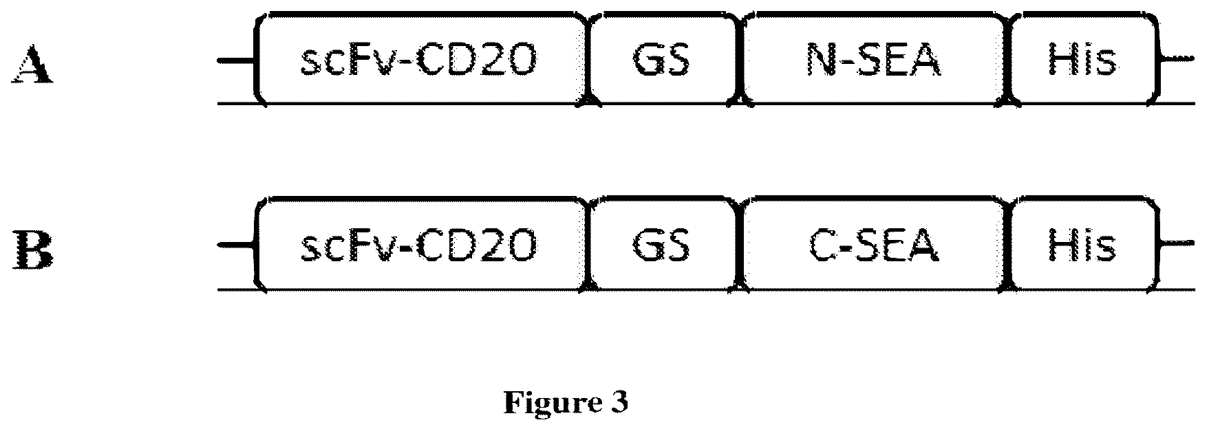 Patent US12304966 Figure 3 – Split superantigens and their use for immunotherapy