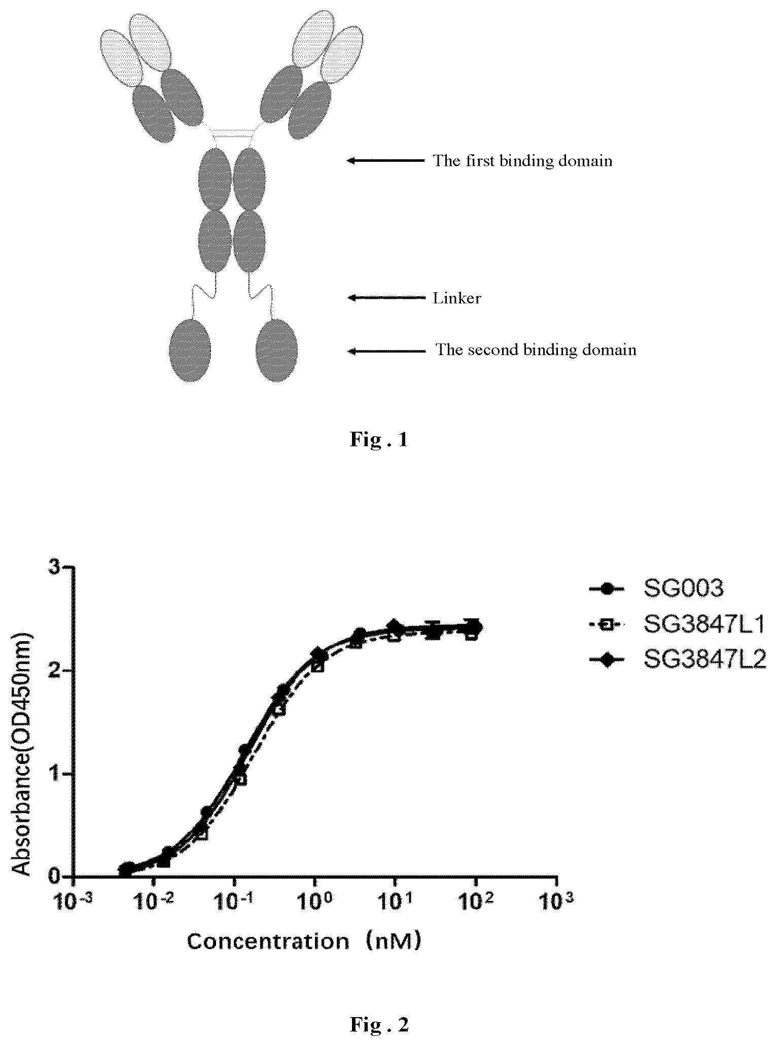 Patent US12304967 Figure 1 – Fusion protein and use thereof