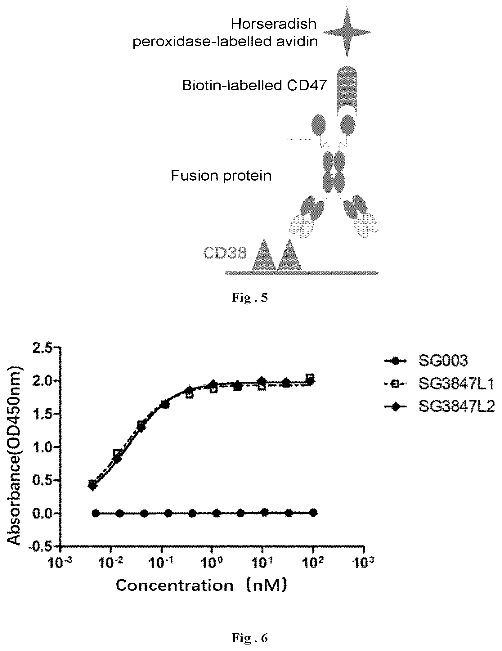Patent US12304967 Figure 3 – Fusion protein and use thereof