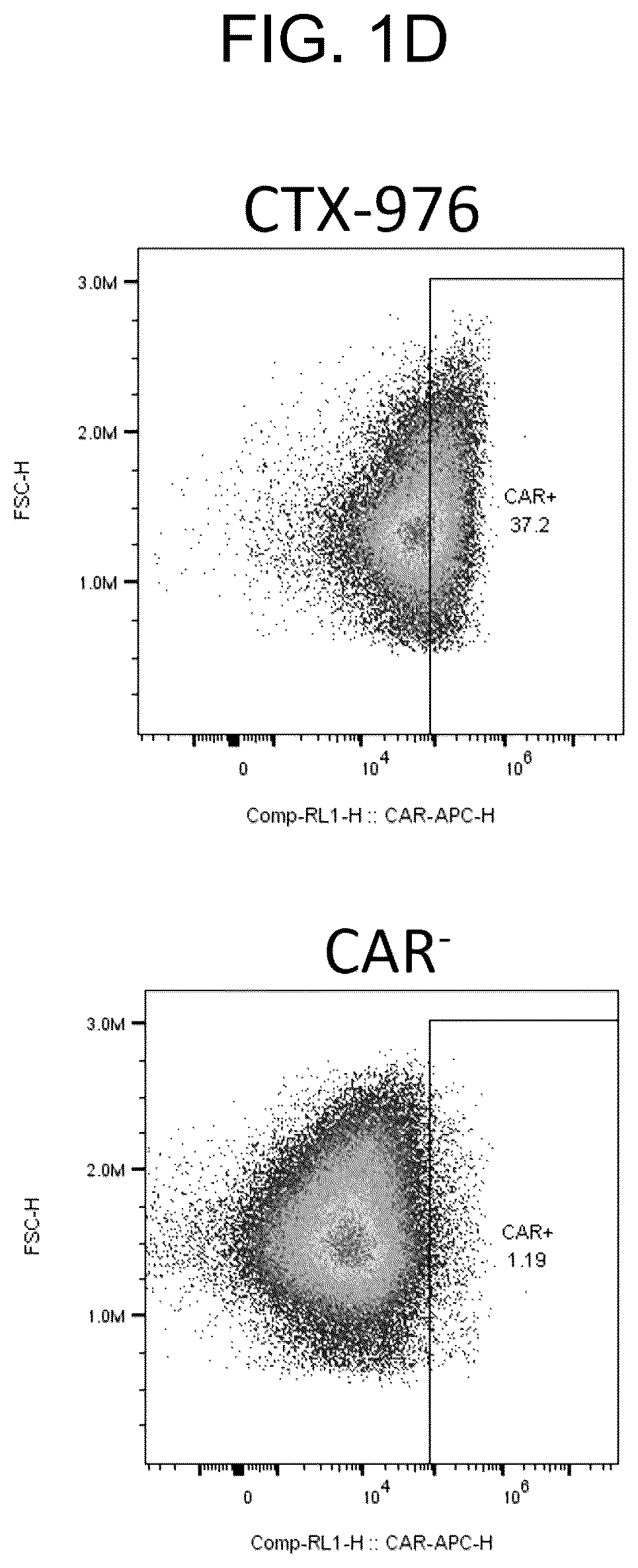 Patent US12304968 Figure 4 – T-cells expressing anti-LIV1 chimeric antigen receptor