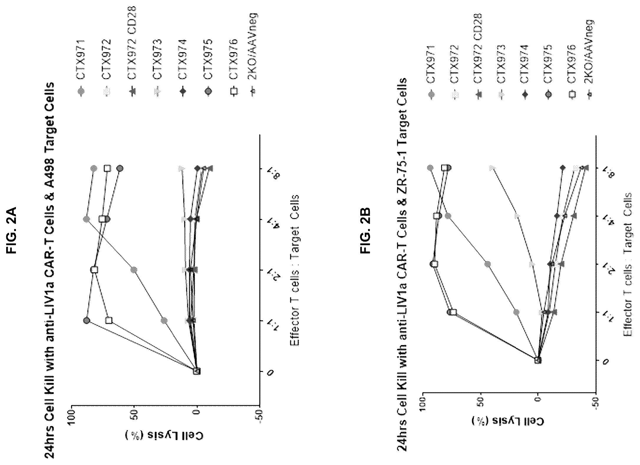Patent US12304968 Figure 6 – T-cells expressing anti-LIV1 chimeric antigen receptor
