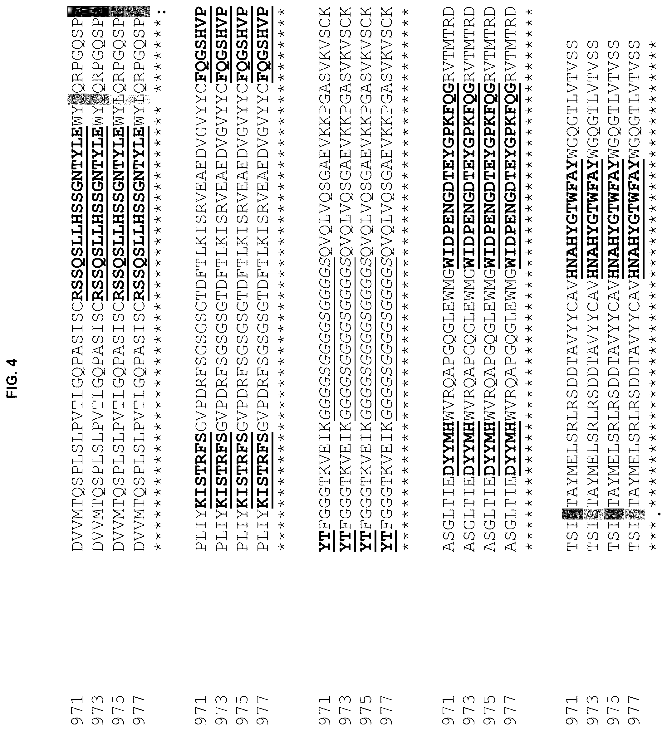 Patent US12304968 Figure 8 – T-cells expressing anti-LIV1 chimeric antigen receptor